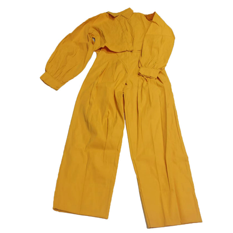 Women's Casual Work 2 Piece Set Bell Long Sleeve Shirt Harem Pant Outfits (See size chart where applicable)