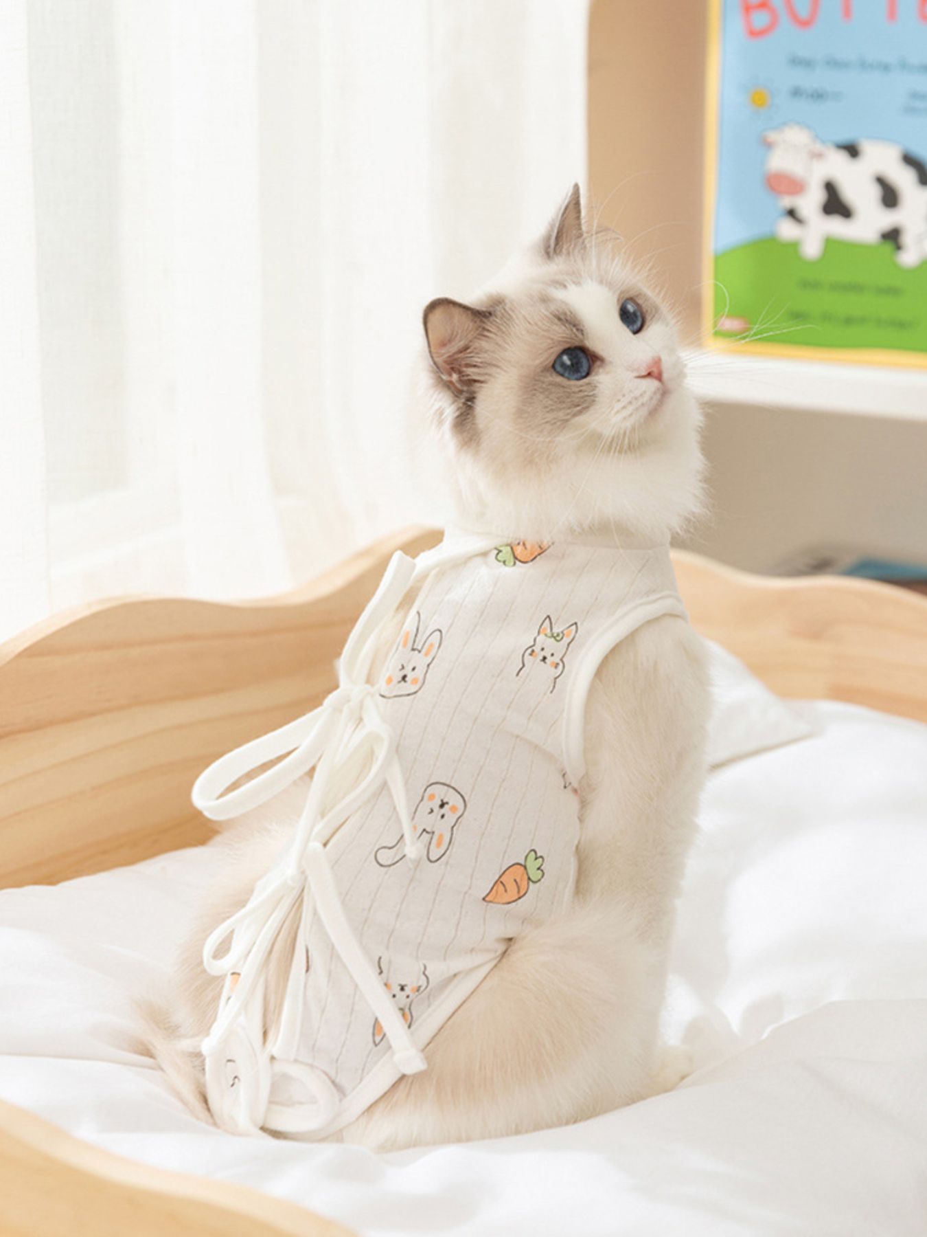 Adjustable Tie Pet Recovery Suit