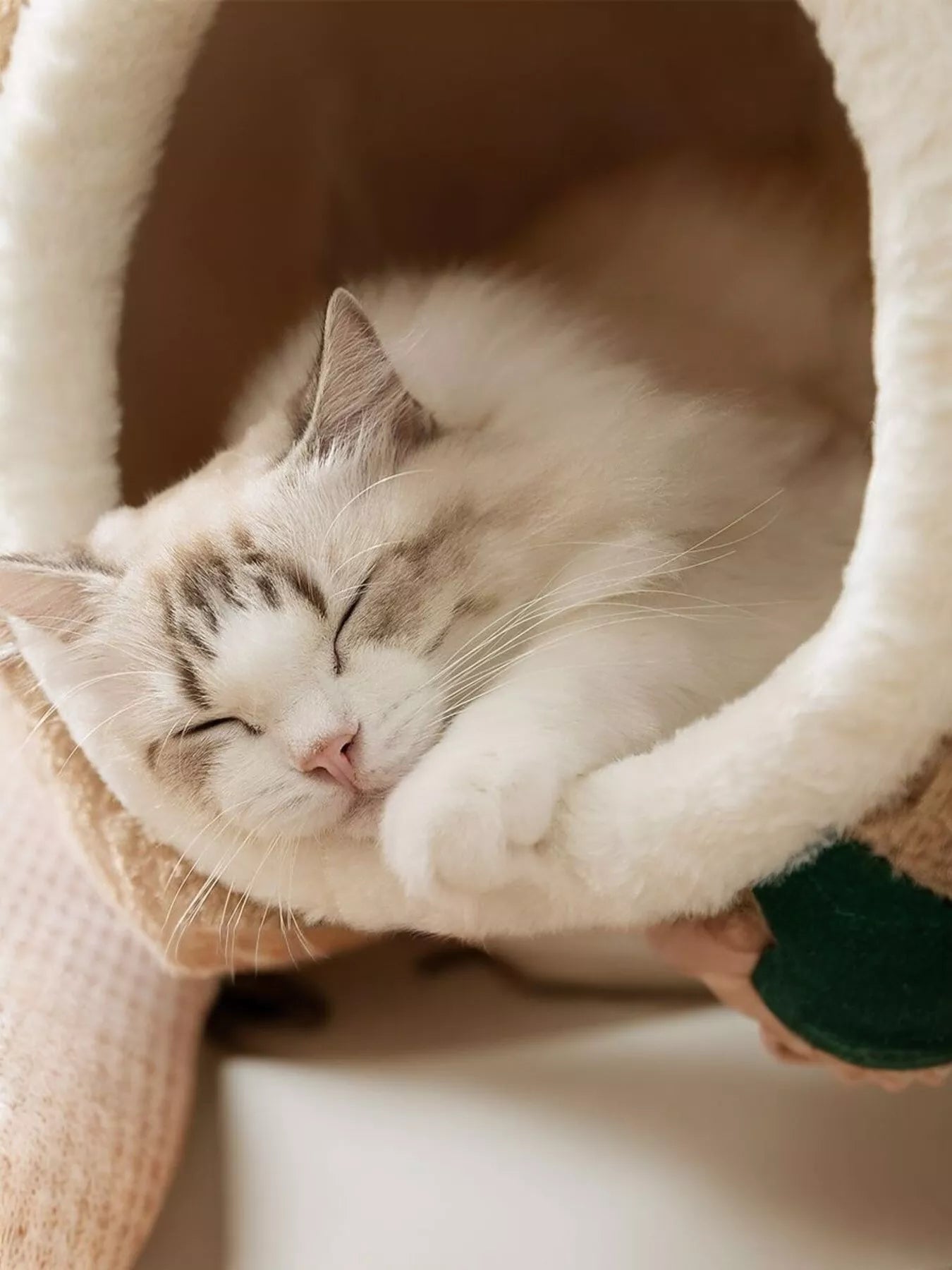 Cozy Tree Stump Pet Nest