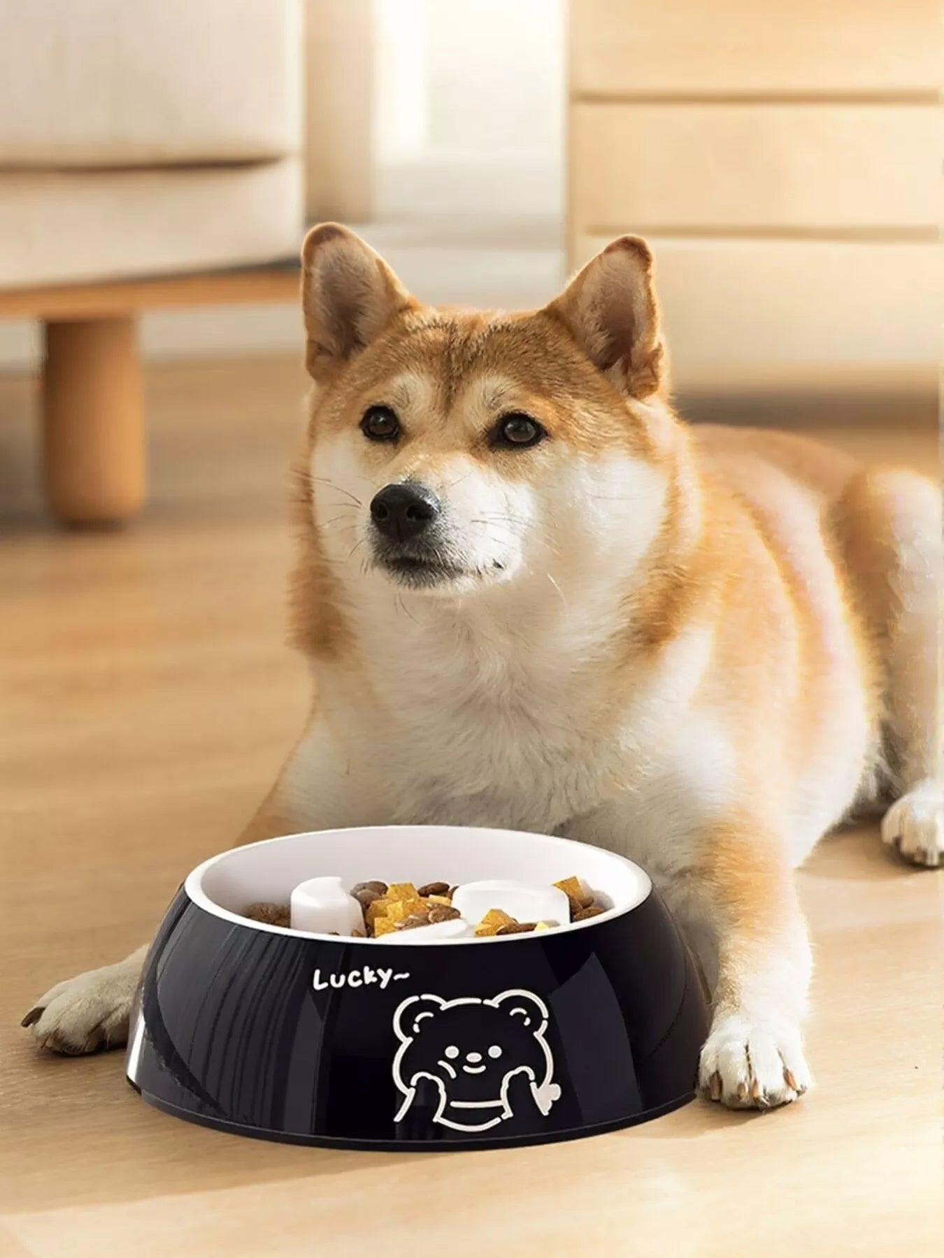 Cute Cartoon Pattern Pet Bowl
