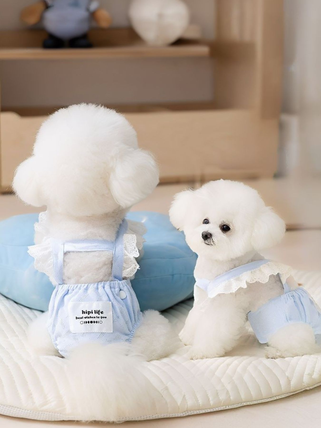 Pet Menstrual Clothes