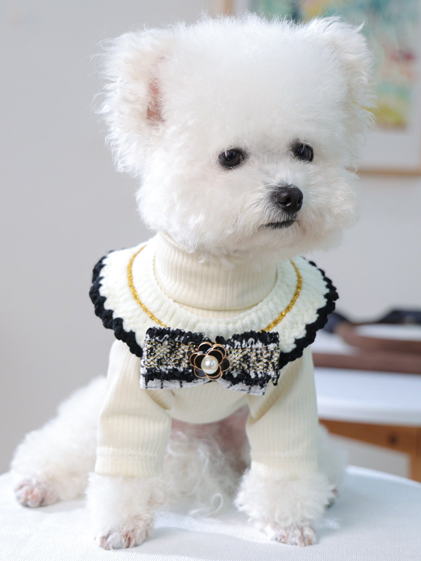 Contrast Pet Scarf