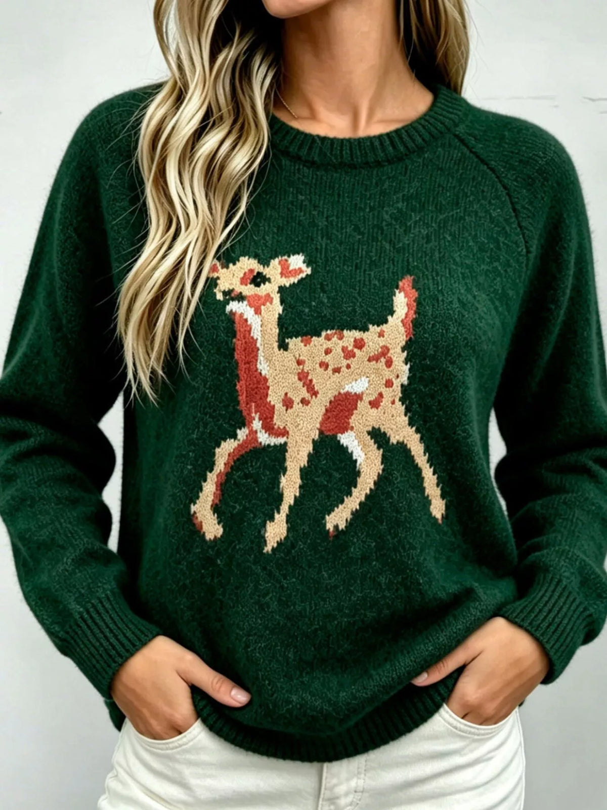 Deer Pattern Raglan Sleeve Sweater