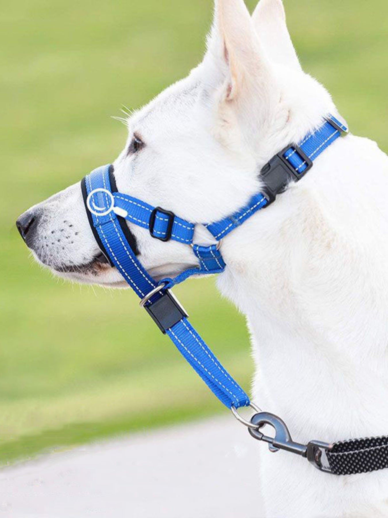 Adjustable Dog Muzzle