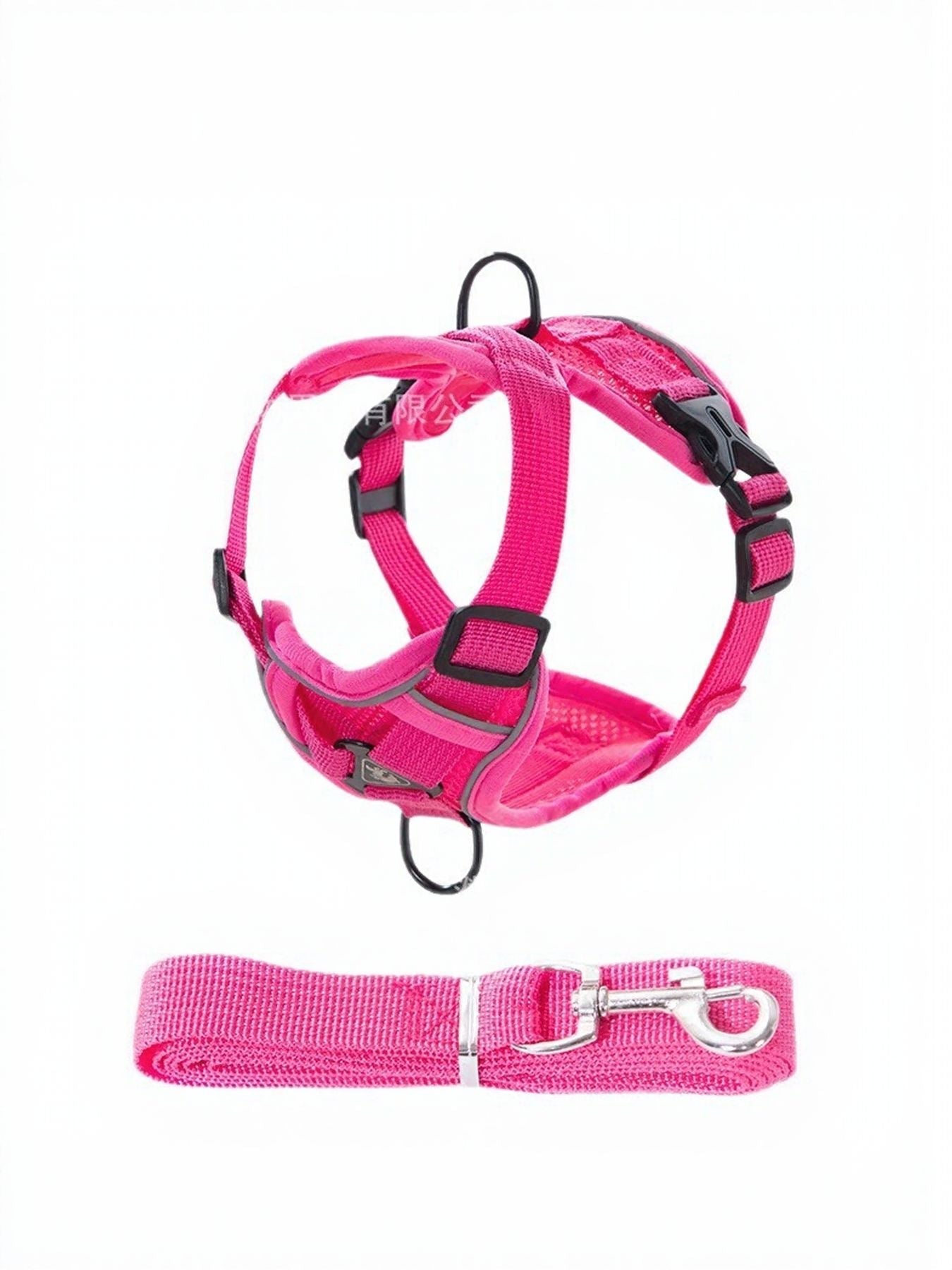 Pet Harness and Leash Set