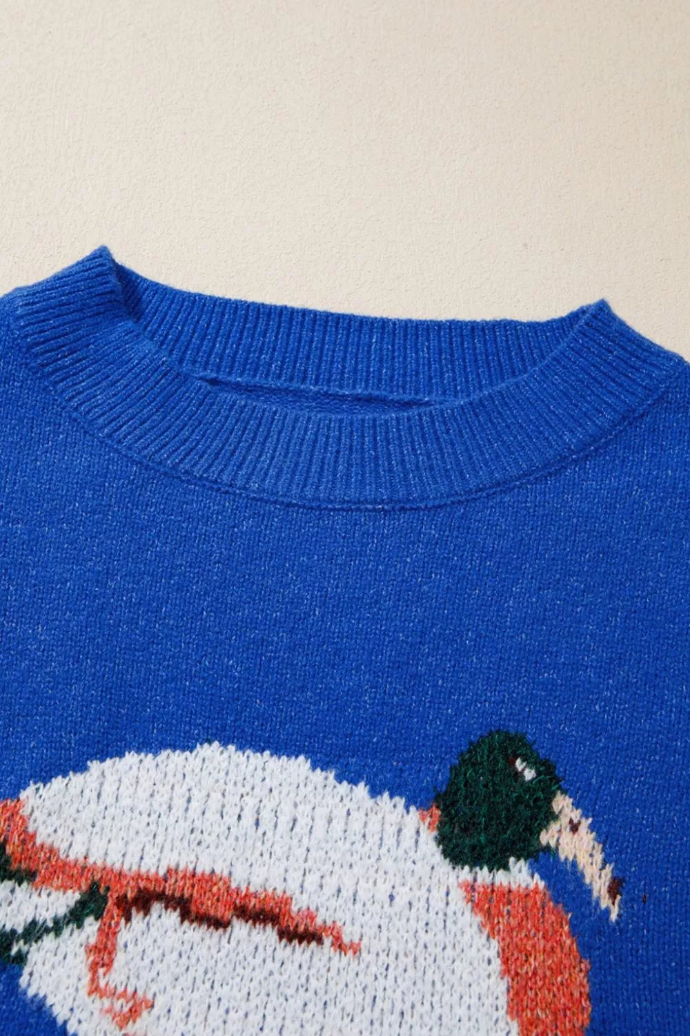 Duck Graphic Drop Shoulder Long Sleeve Sweater