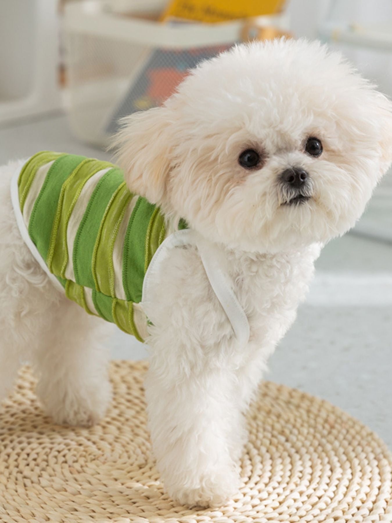 Striped Breathable Pet Top
