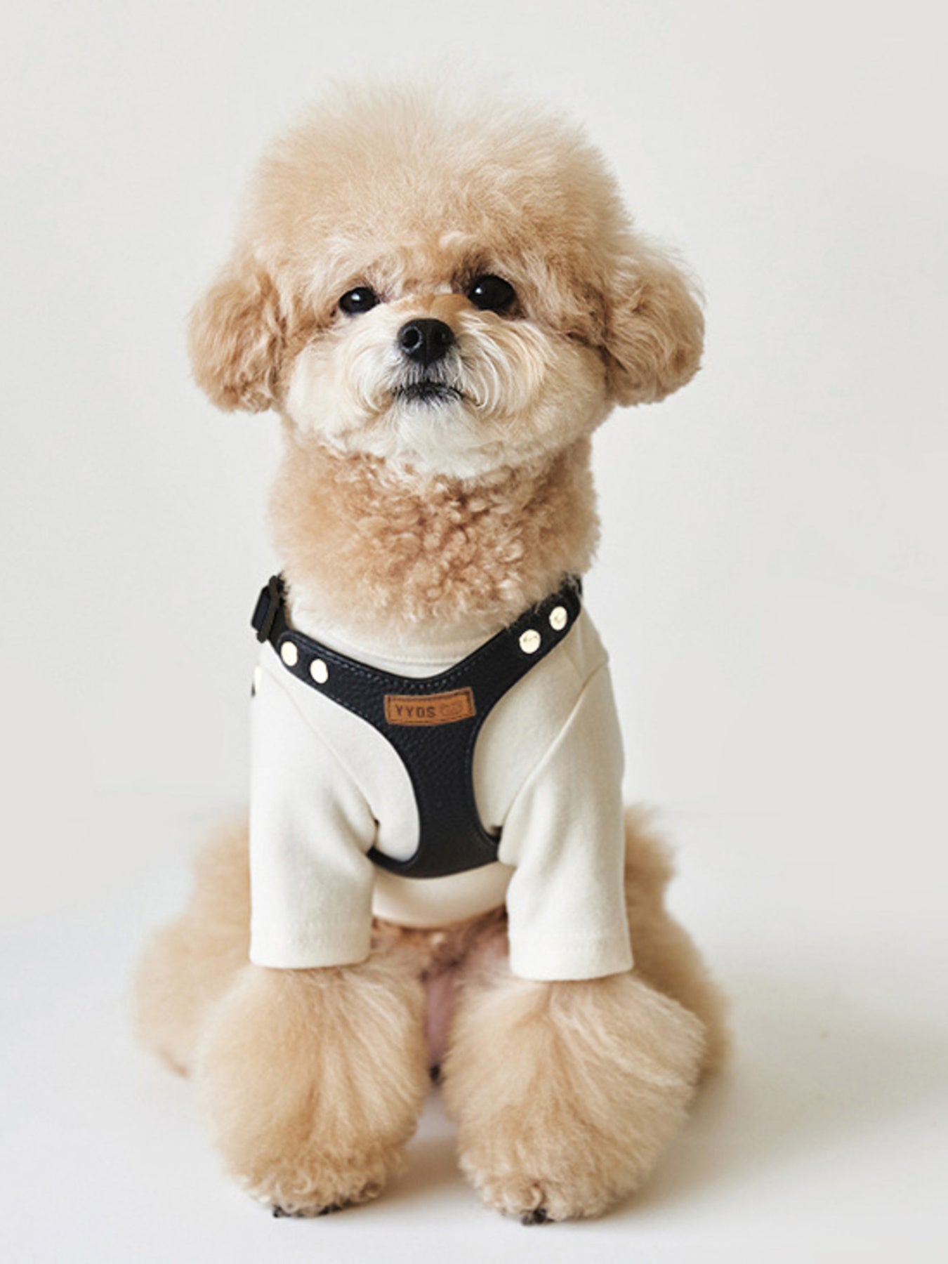 Rivet-Decorated Dog Harness Leash Set