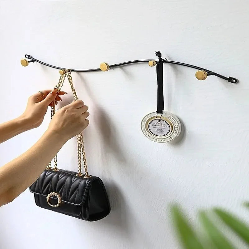 Wall Clothes Hanger