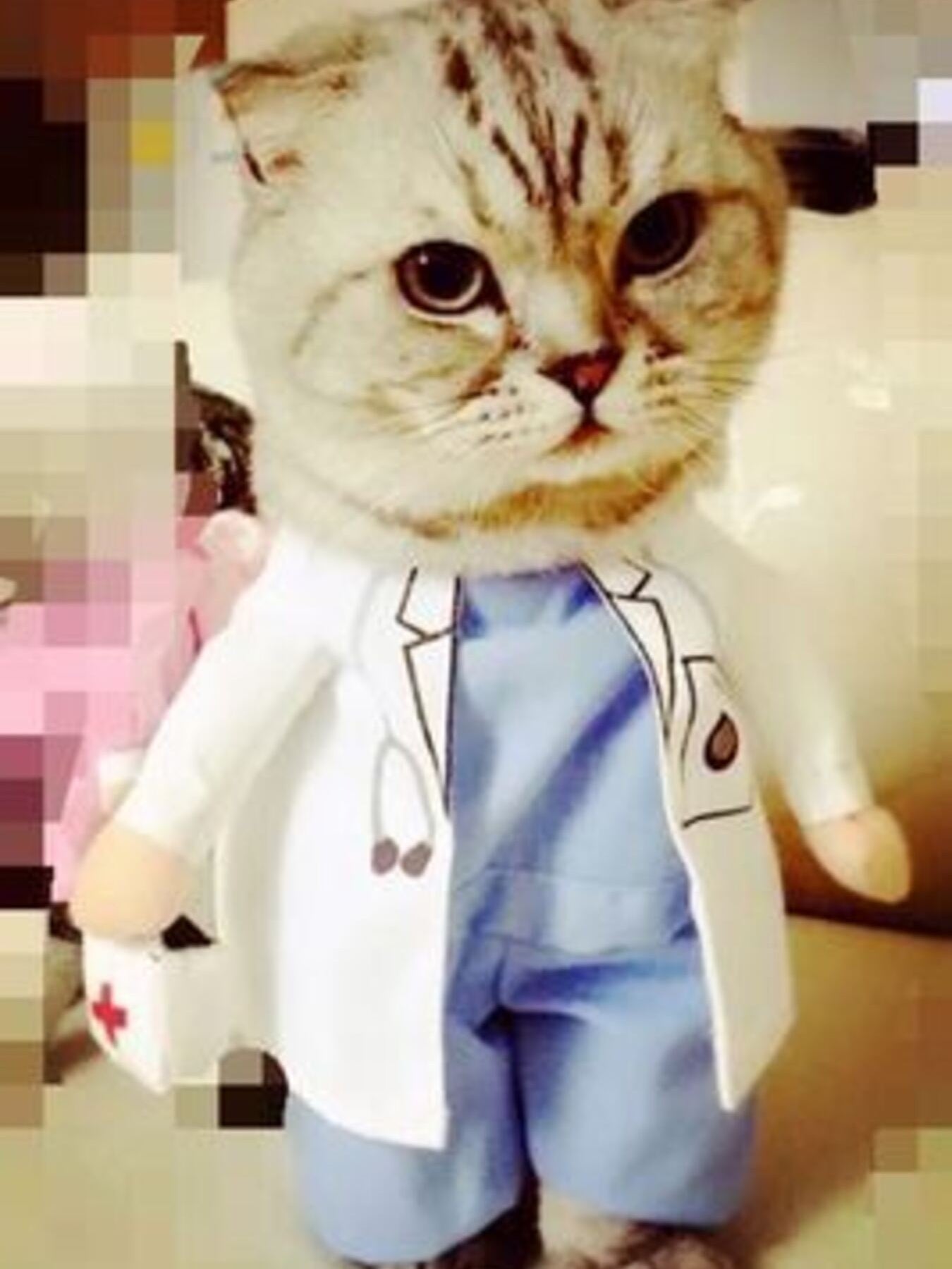 Quirky Pet Jumpsuit
