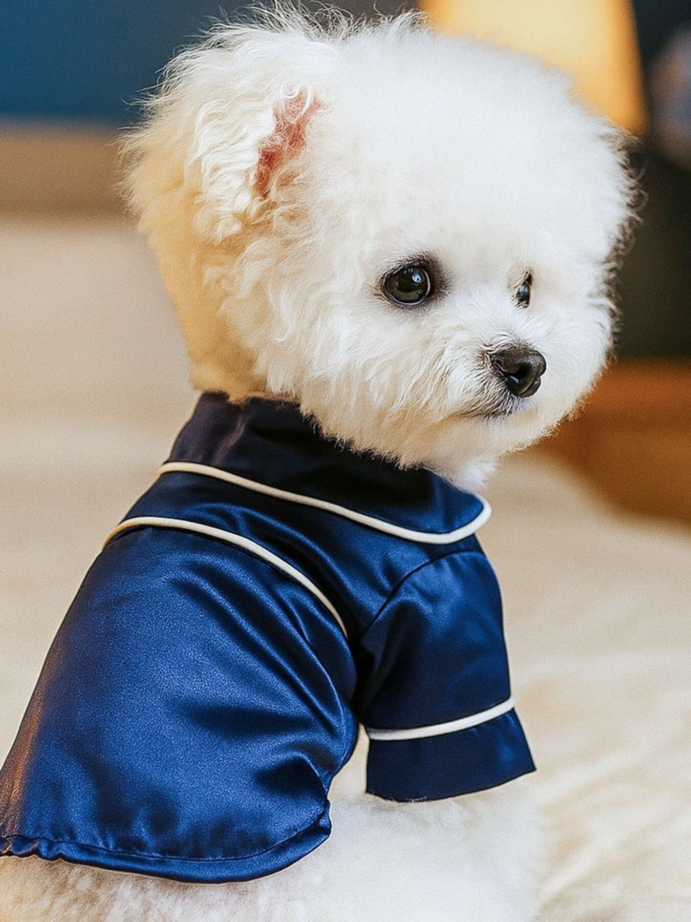 Satin Pet Pajamas with Contrast Piping