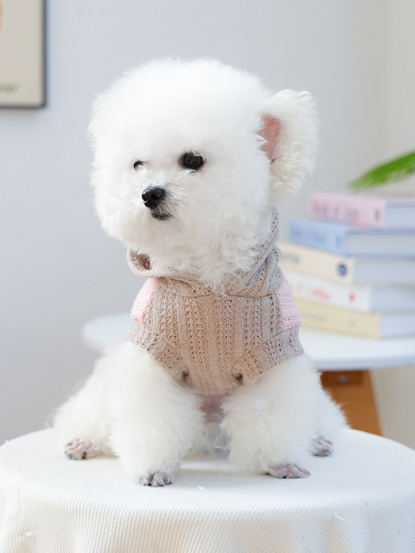 Flower Knitted Pet Hoodie