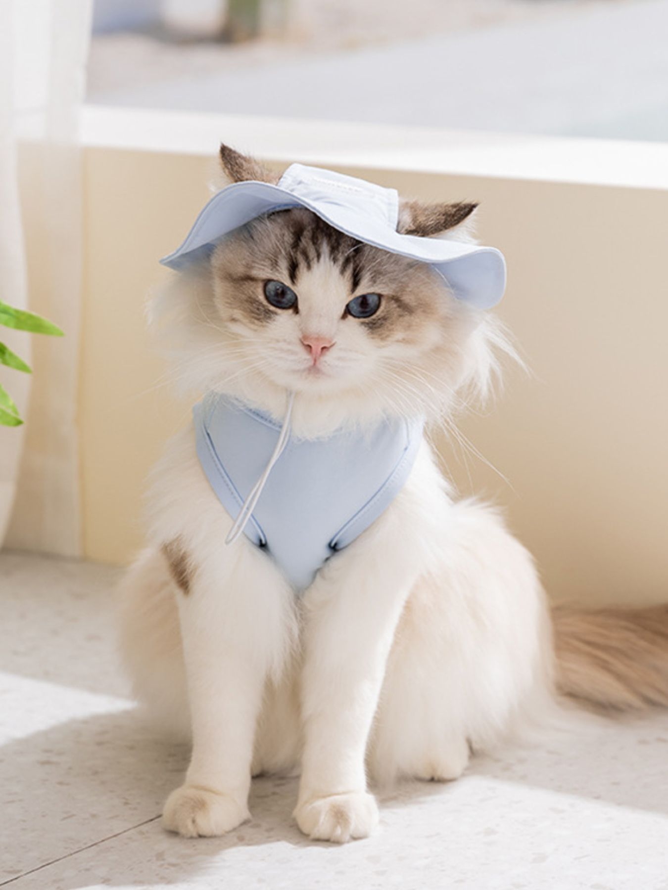 Cartoon Pet Tank