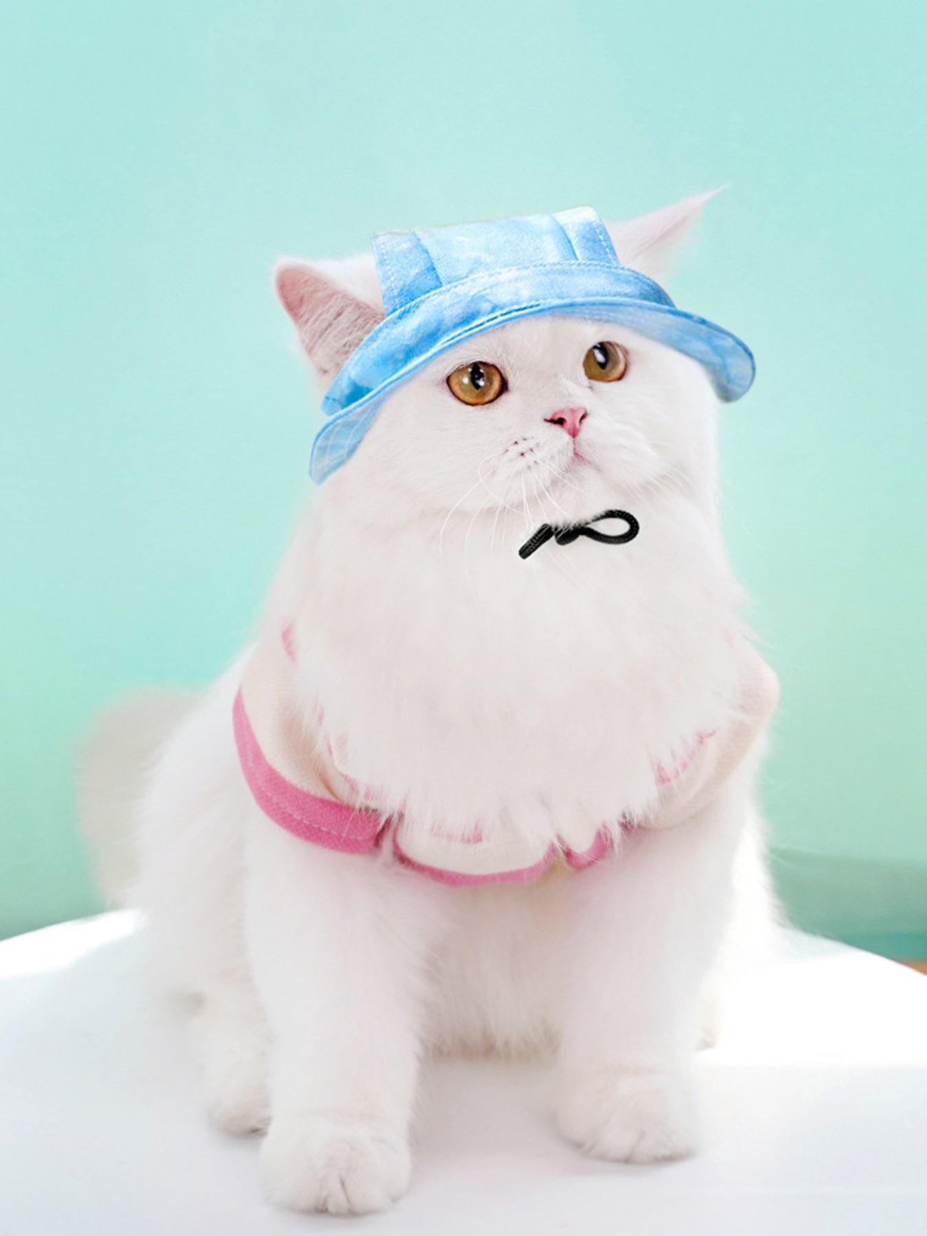 Adjustable Pet Visor Hat