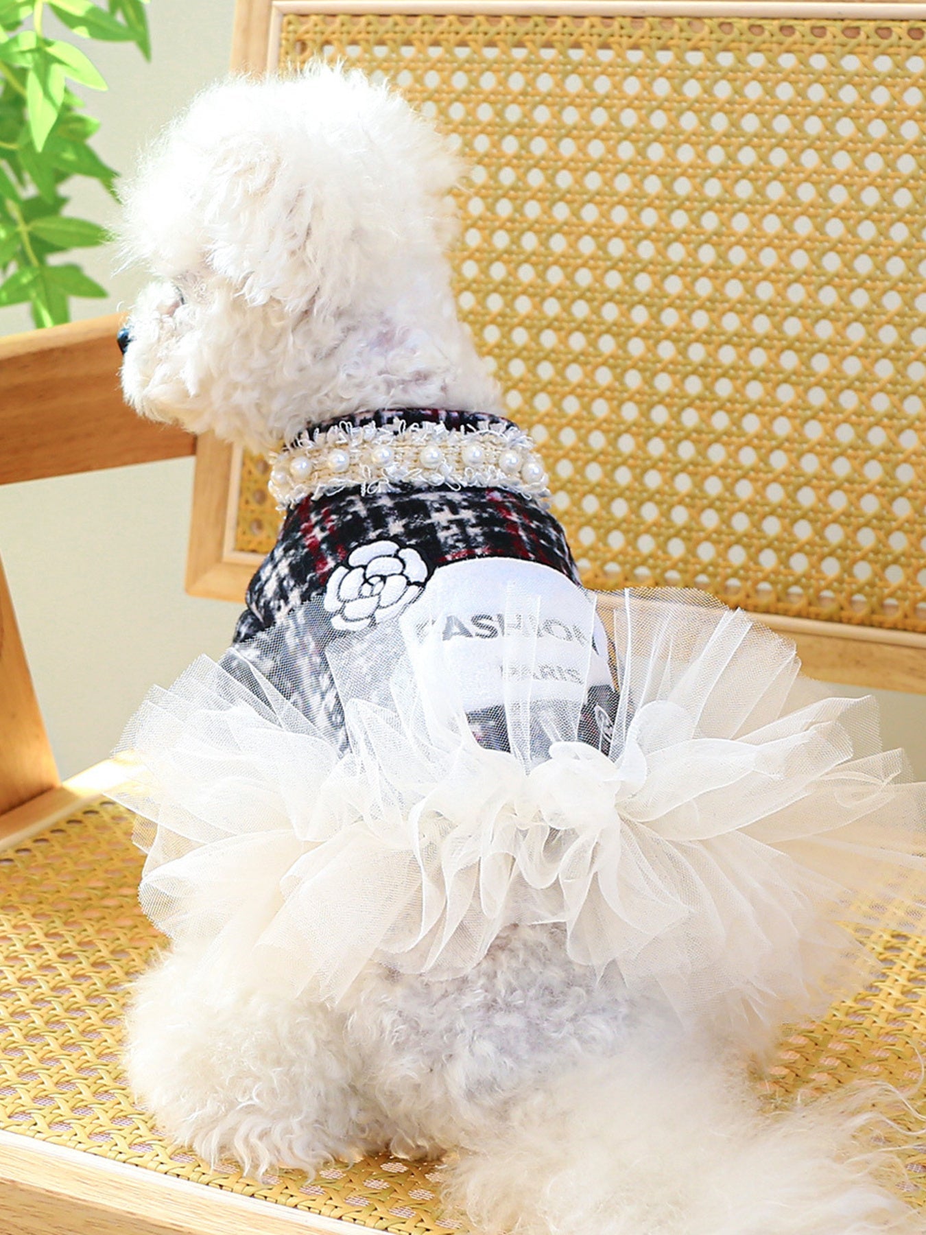 Pearl Collar Pet Dress