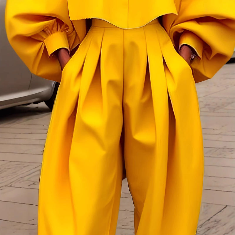 Women's Casual Work 2 Piece Set Bell Long Sleeve Shirt Harem Pant Outfits (See size chart where applicable)