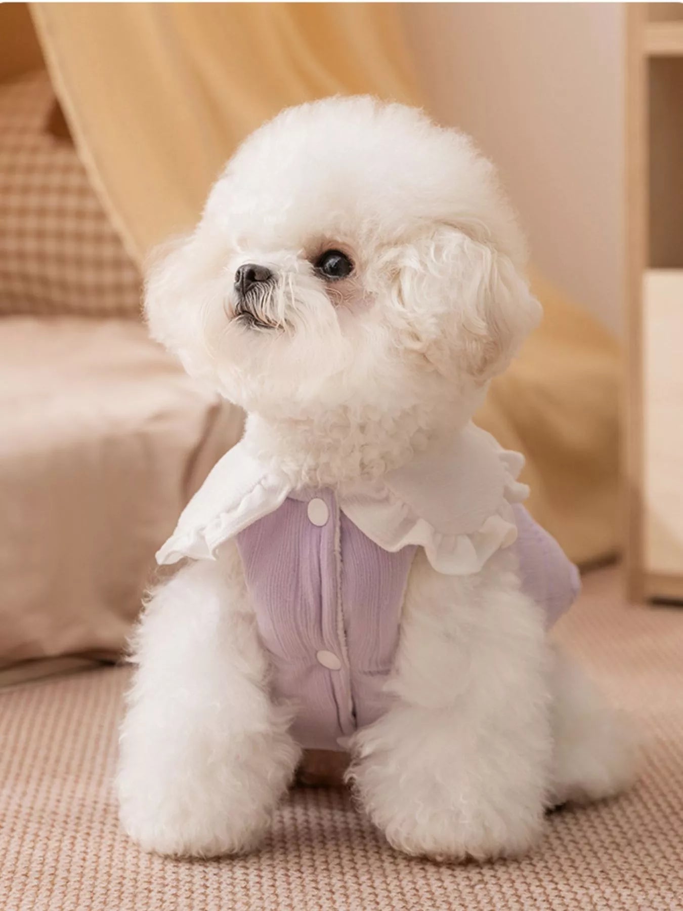 Button-Down Pet Jumpsuit with Ruffle Collar
