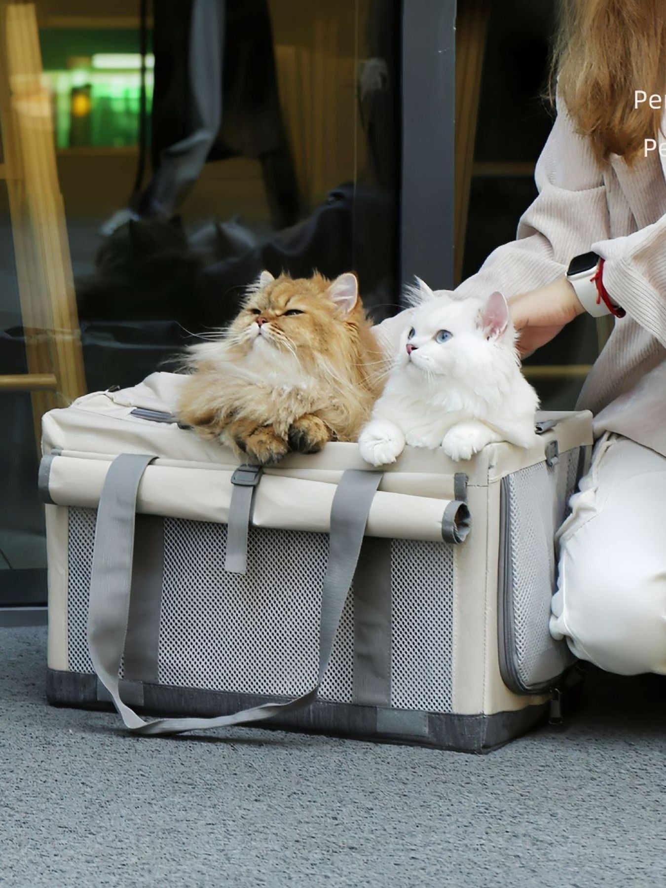Portable Breathable Pet Carrier Bag