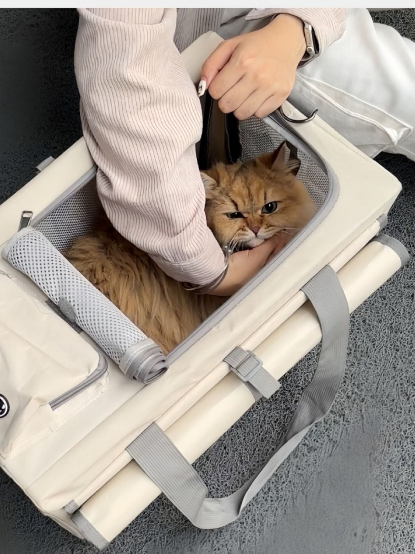 Portable Breathable Pet Carrier Bag