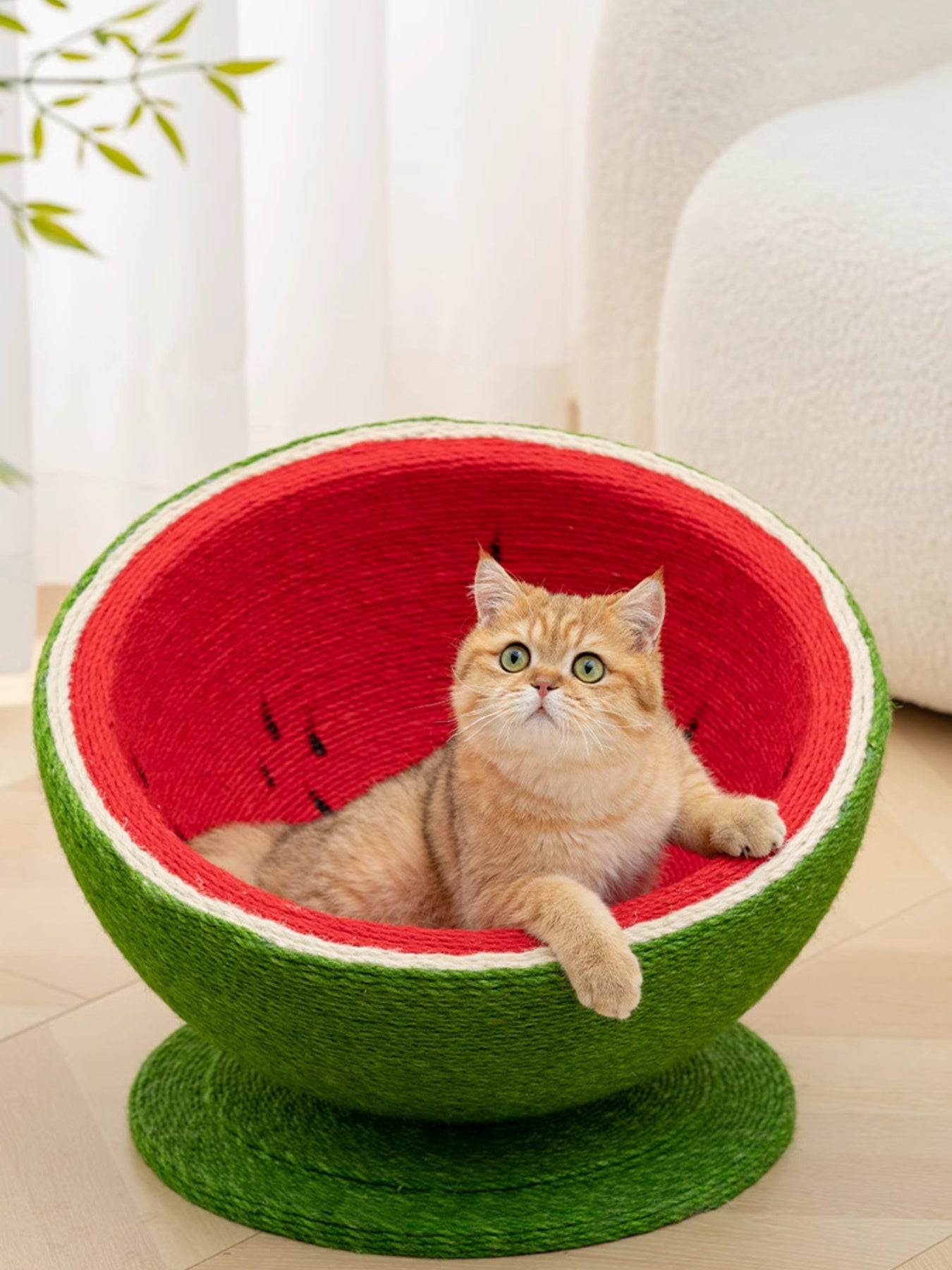 Watermelon Shaped Cat Scratching Post Nest