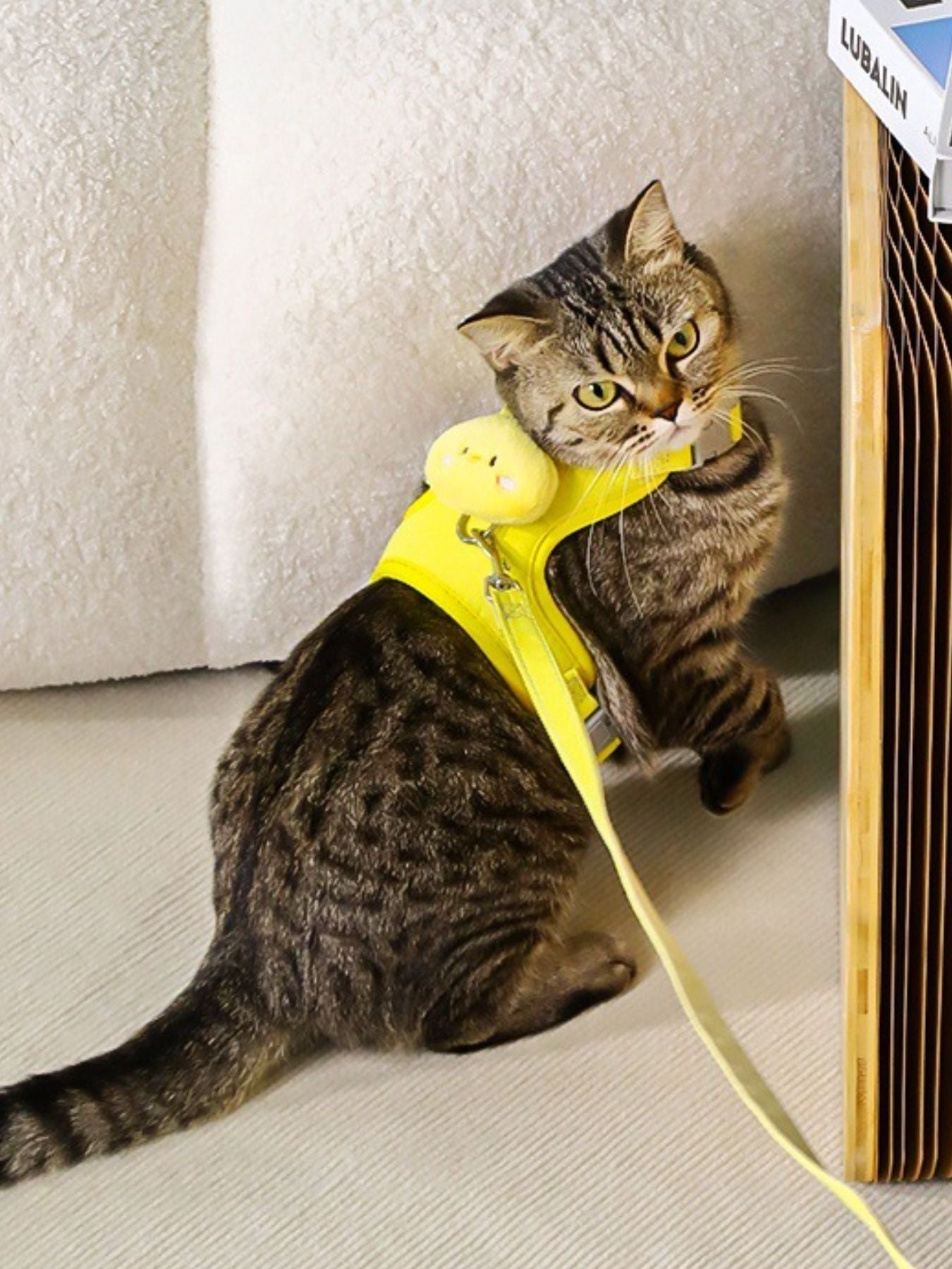 Animal Decor Breathable Mesh Pet Harness