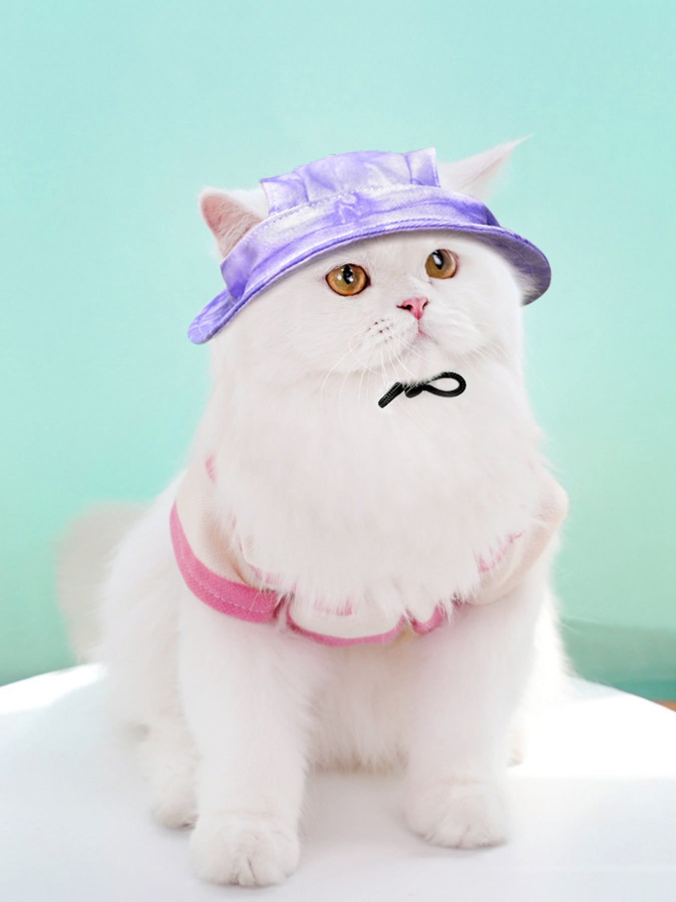 Adjustable Pet Visor Hat