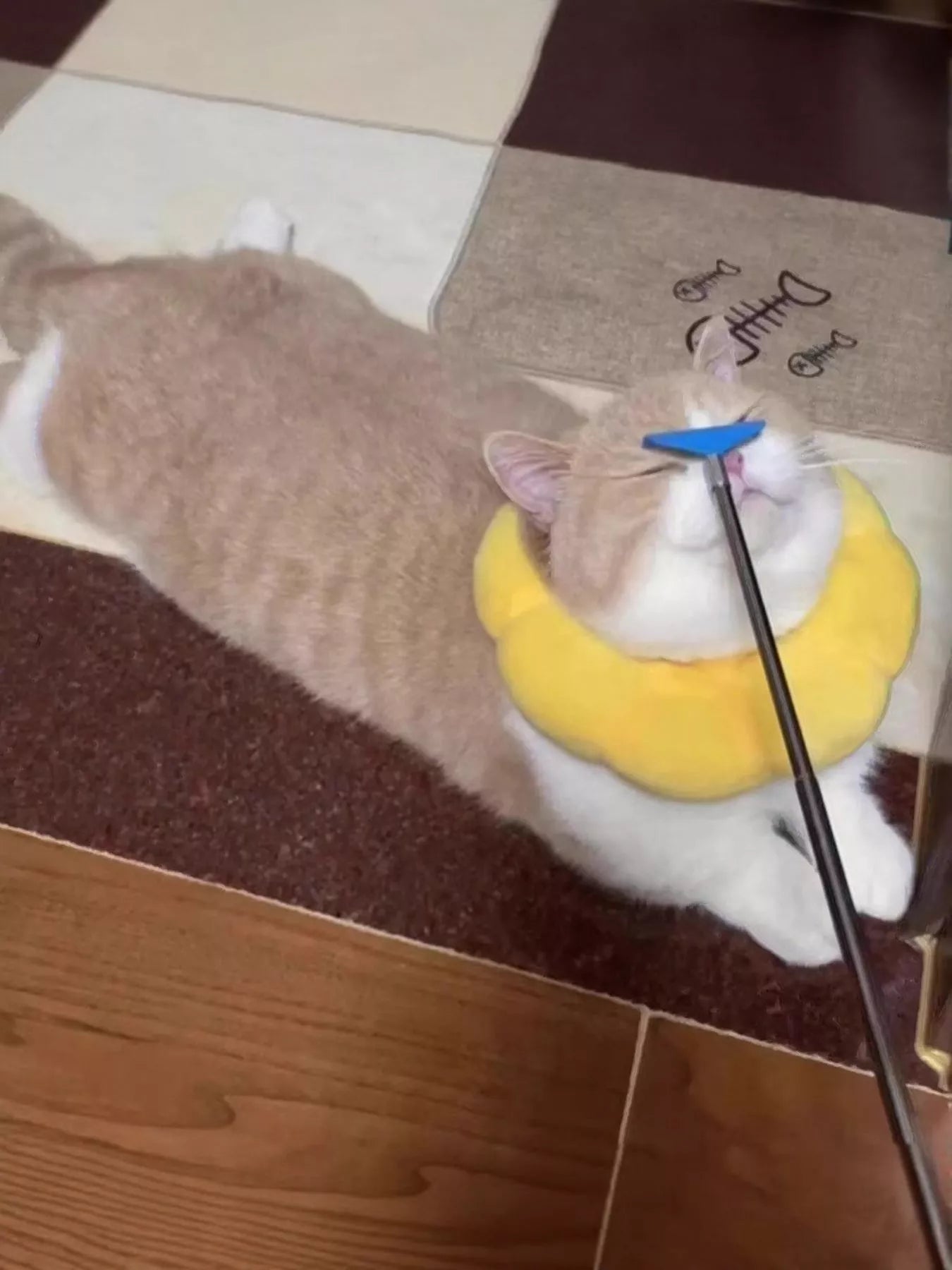 Pet Grooming Comb