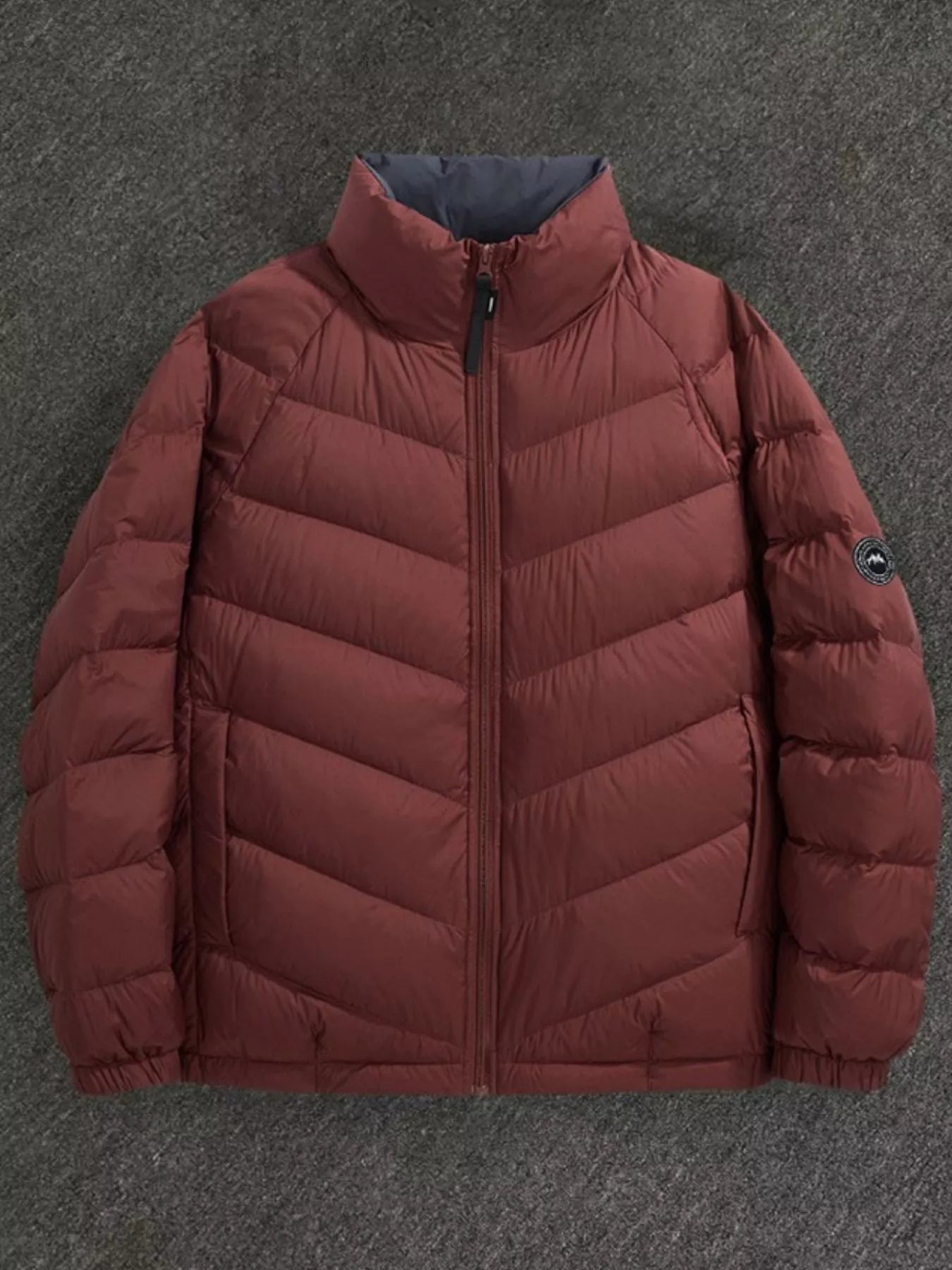 Men's Plus Size Zip Up Stand Collar Down Jacket