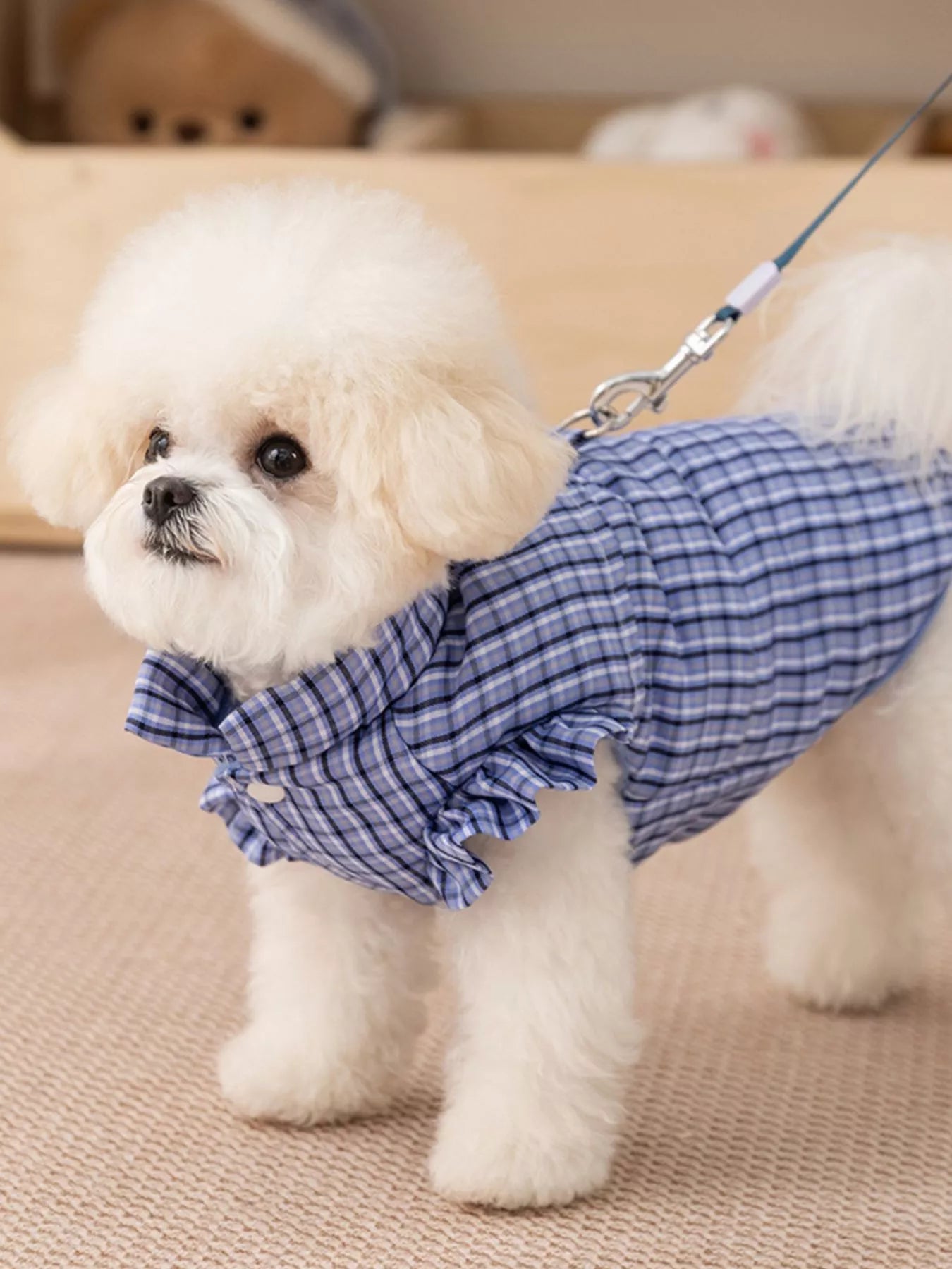 Plaid Ruffle Trim Pet Jacket