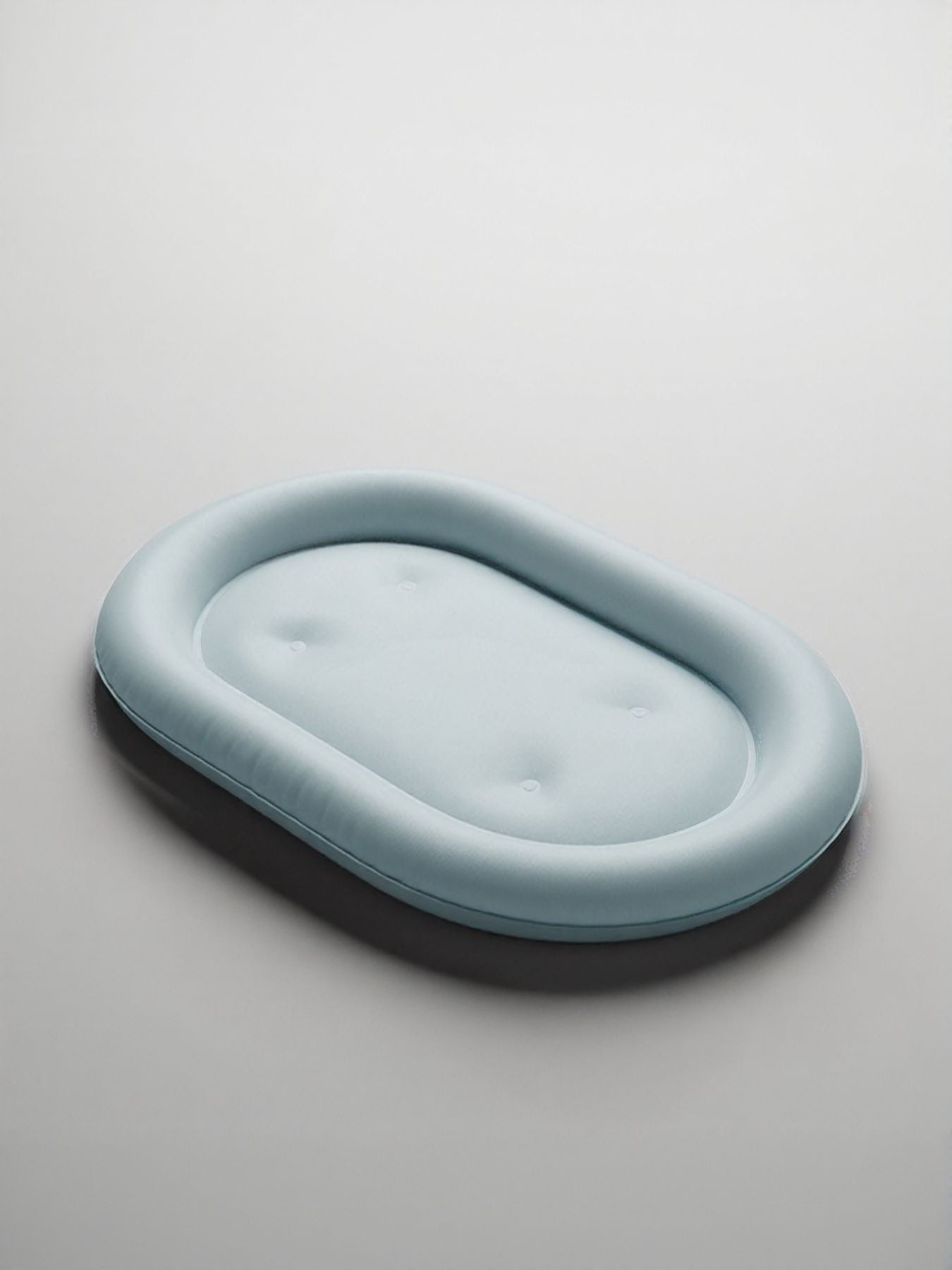 Pet Ice Nest