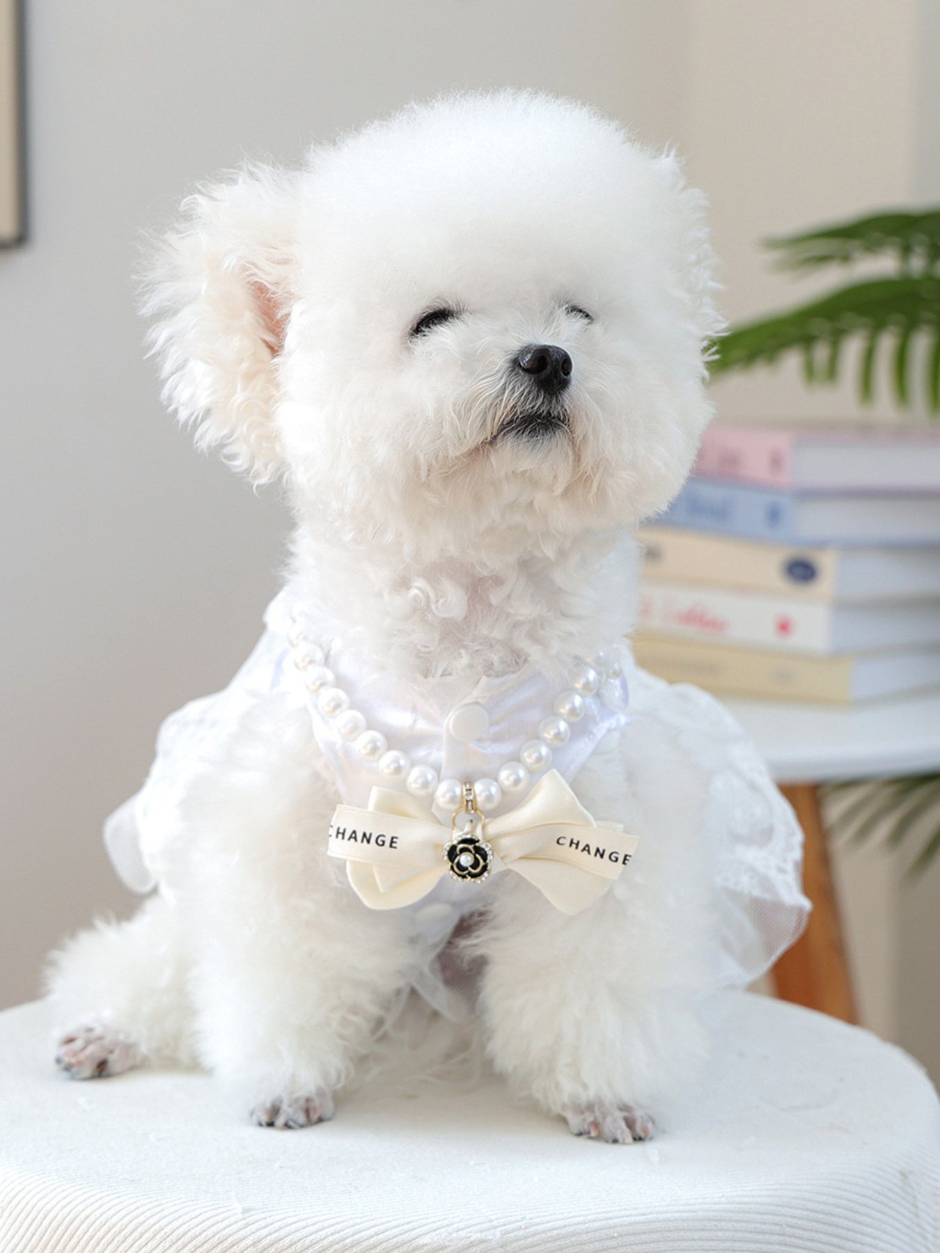 Pearl Bowknot Pet Necklace