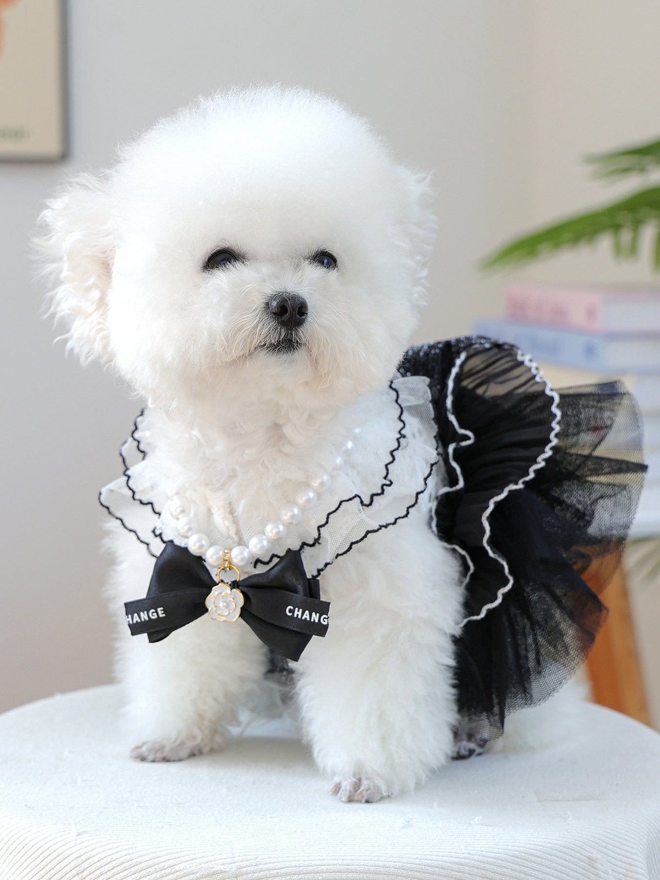 Pearl Bowknot Pet Necklace