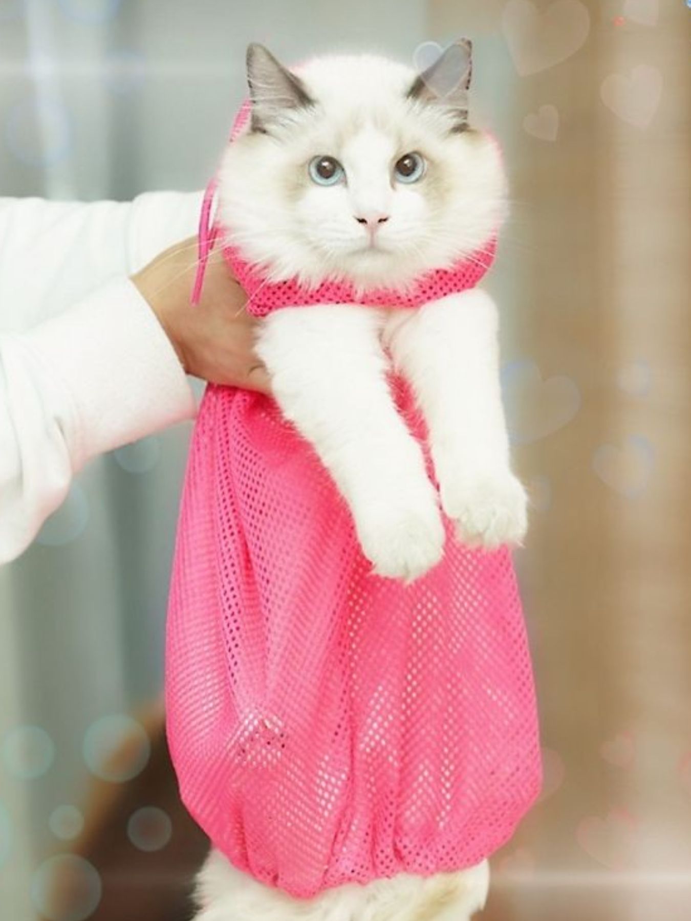 Breathable Pet Grooming Bath Bag
