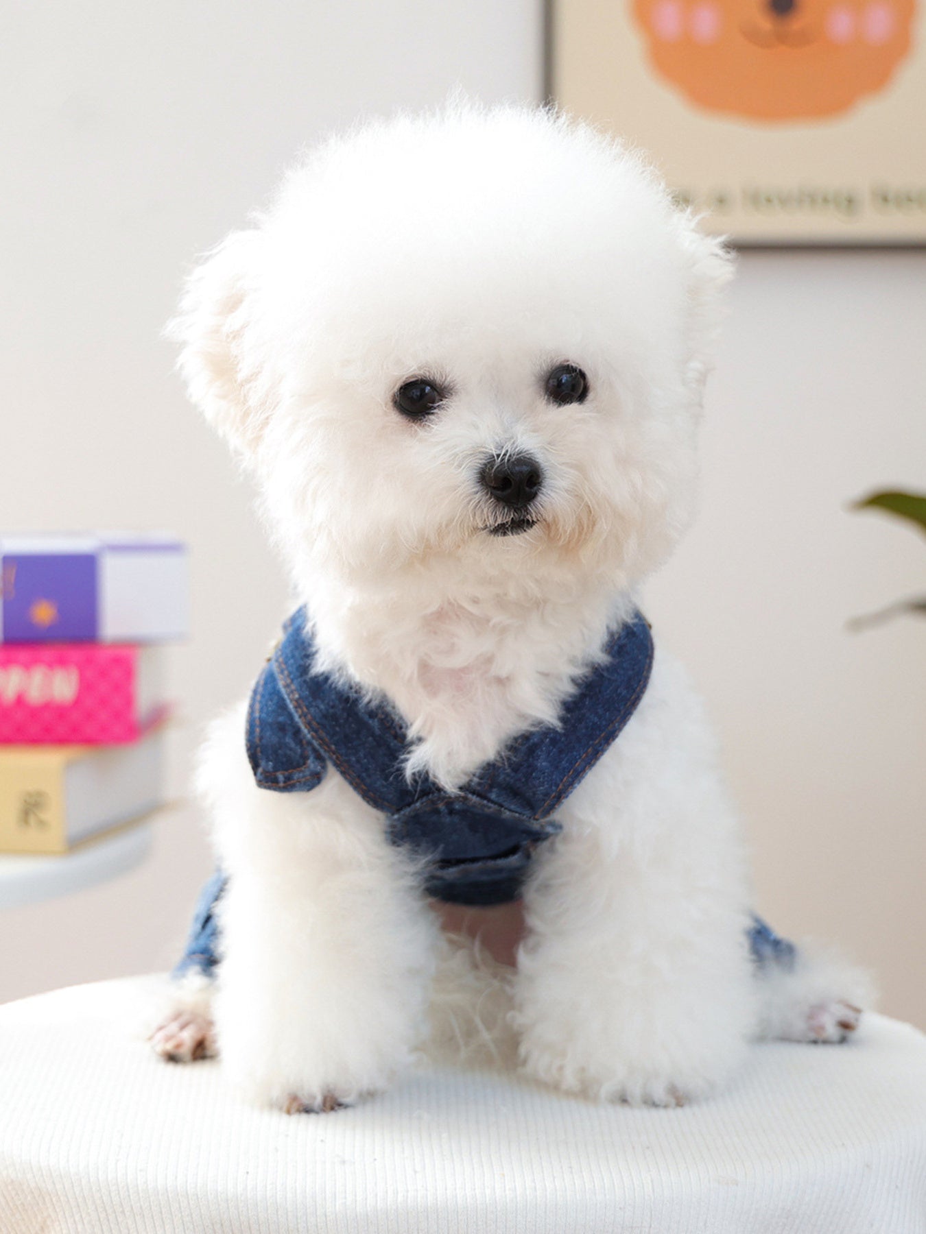 Denim Pet Overalls