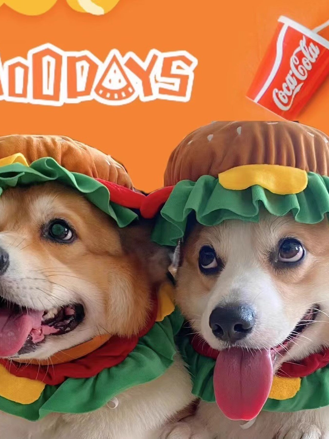 Hamburger Style Pet Headwear