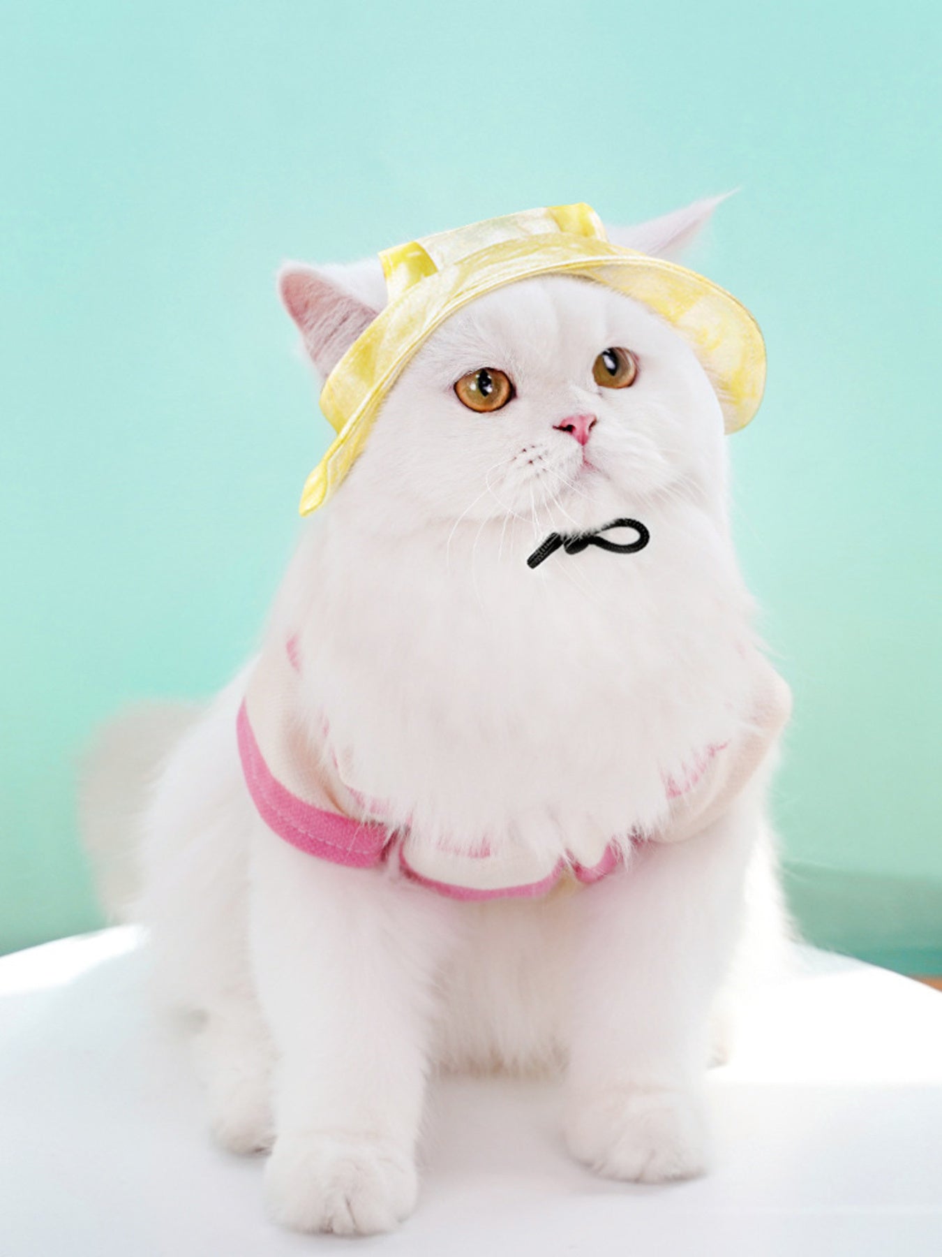 Adjustable Pet Visor Hat