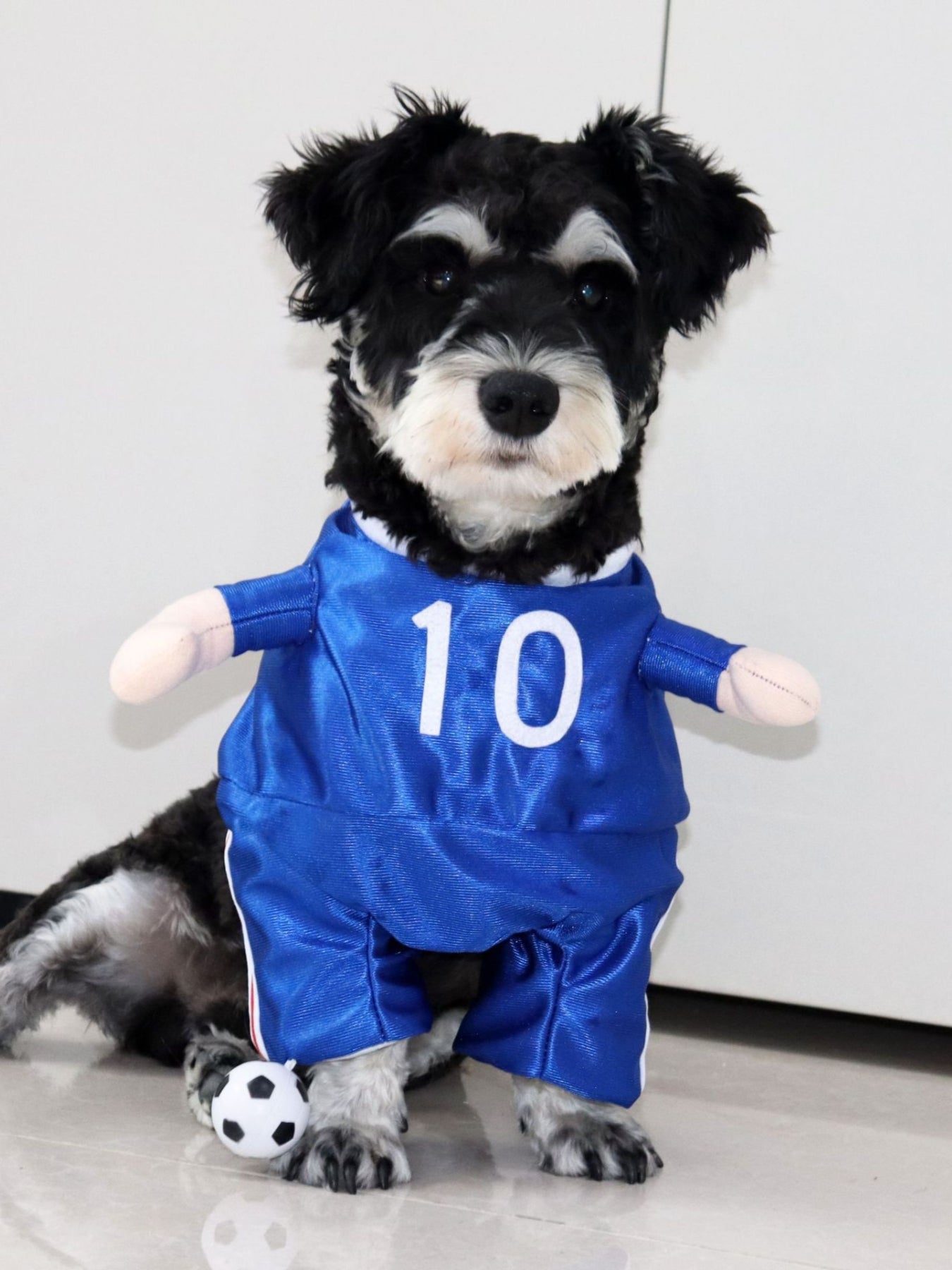 Number Pet Jumpsuit