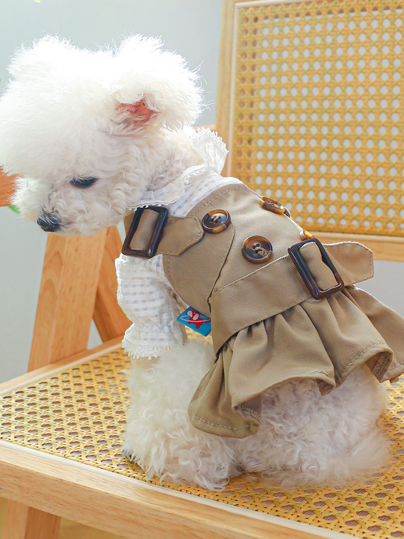 Buckle Pet Trench Coat