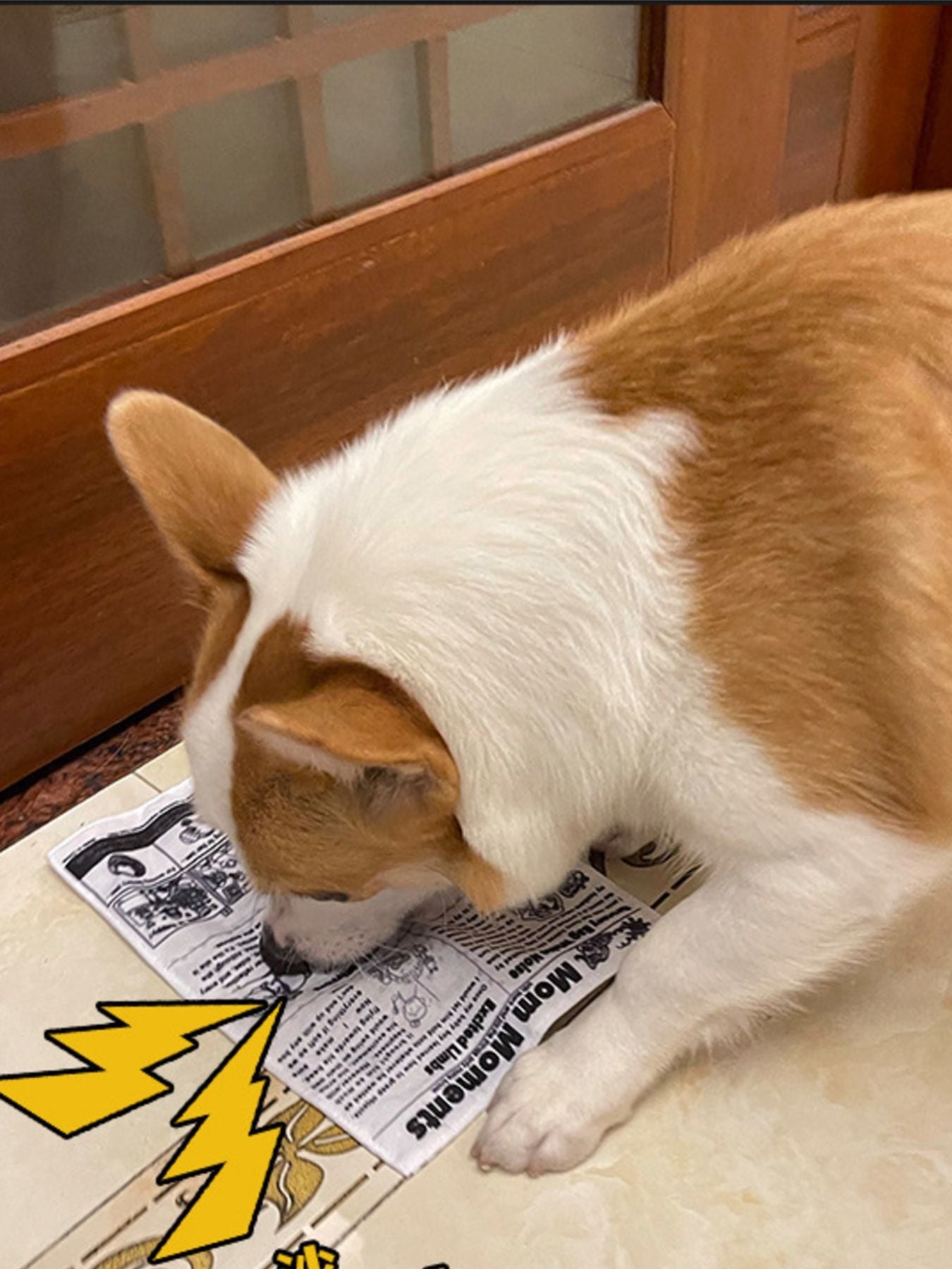 Newspaper Style Pet Sound Toy