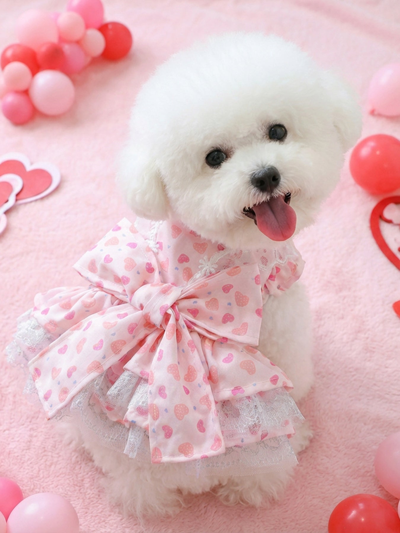 Bow Printed Pet Dress