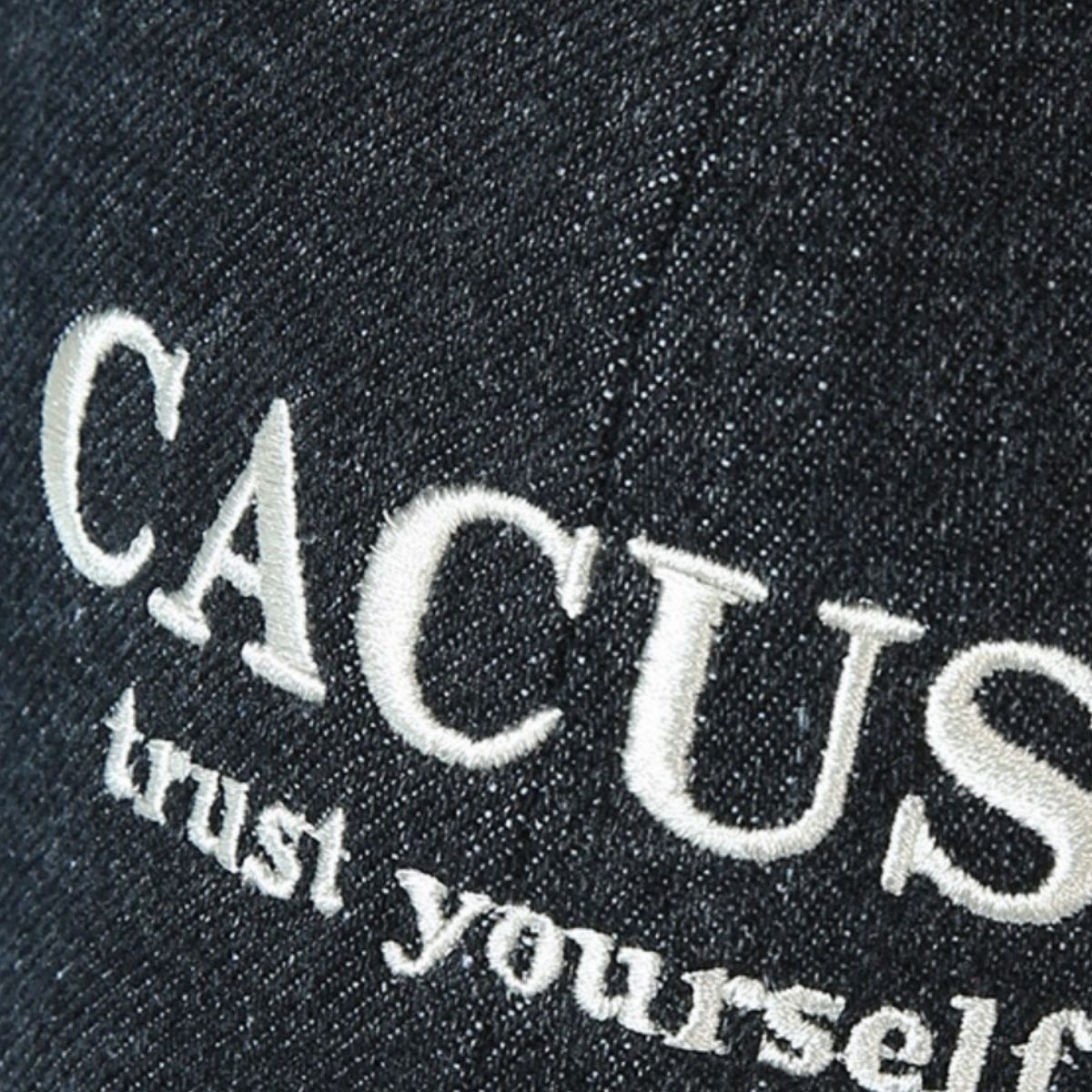 Embroidered Denim Baseball Cap