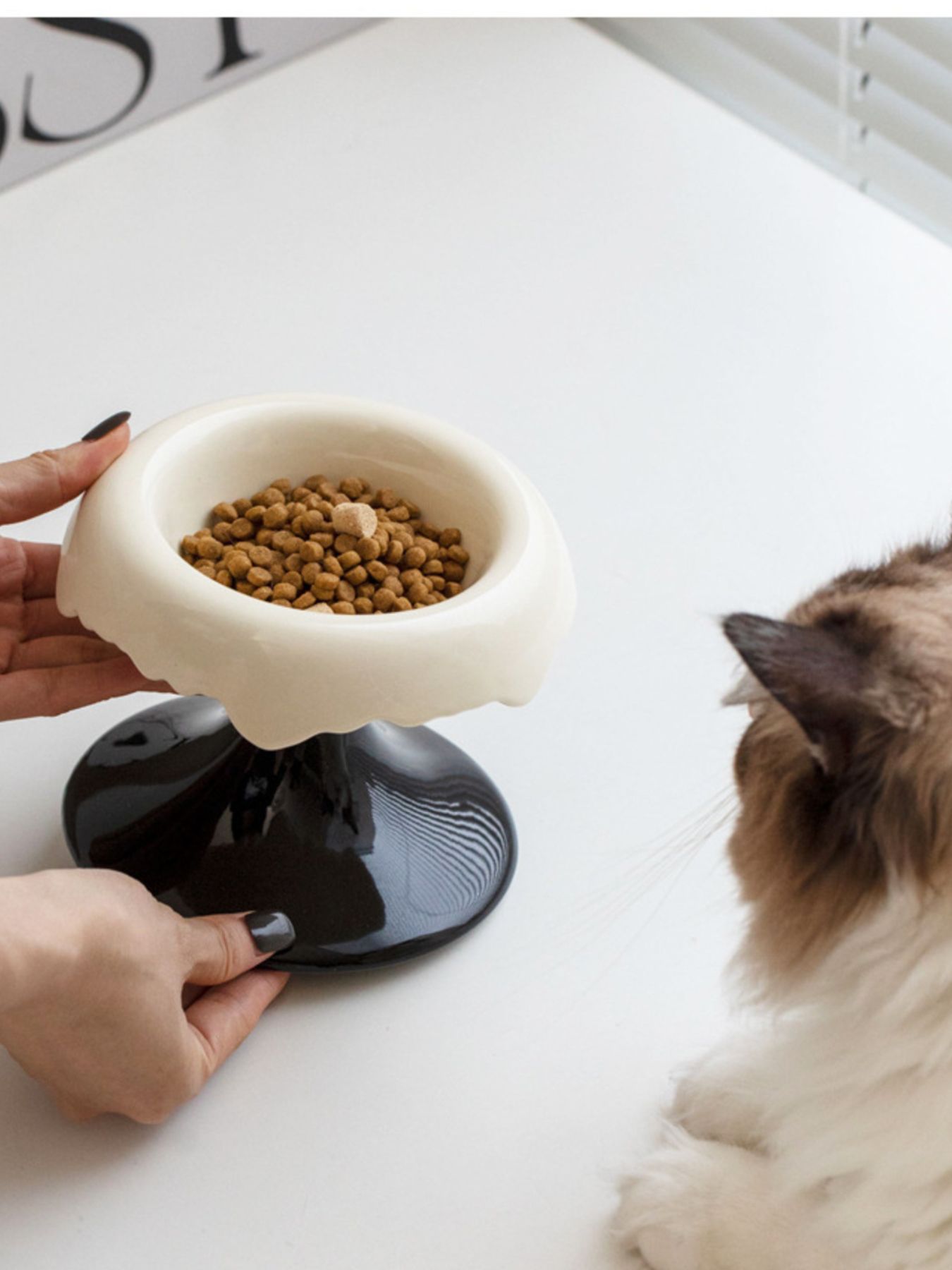 Elevated Ceramic Pet Bowl