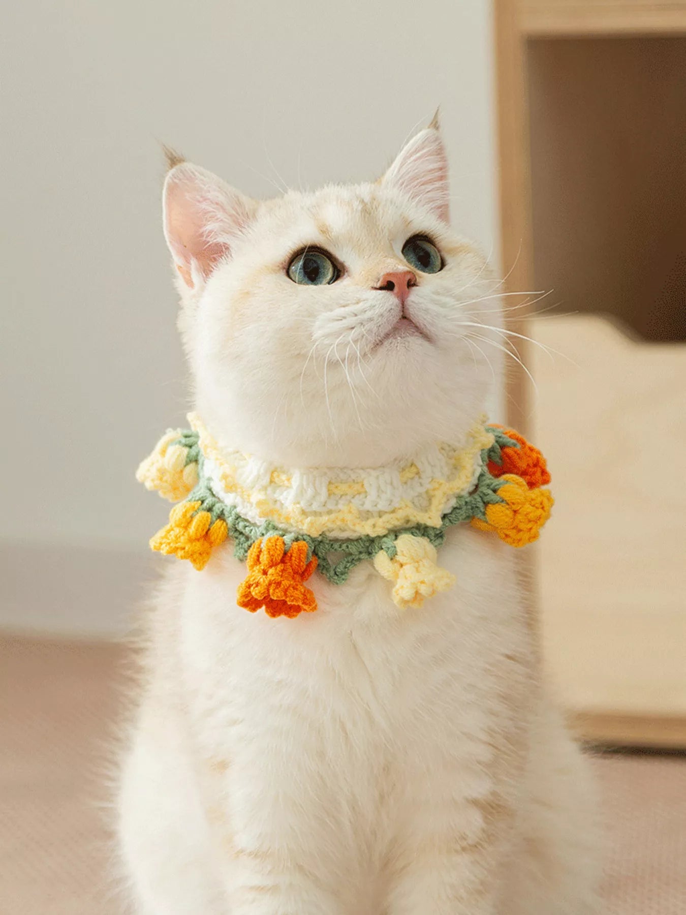 Knitted Floral Pet Collar