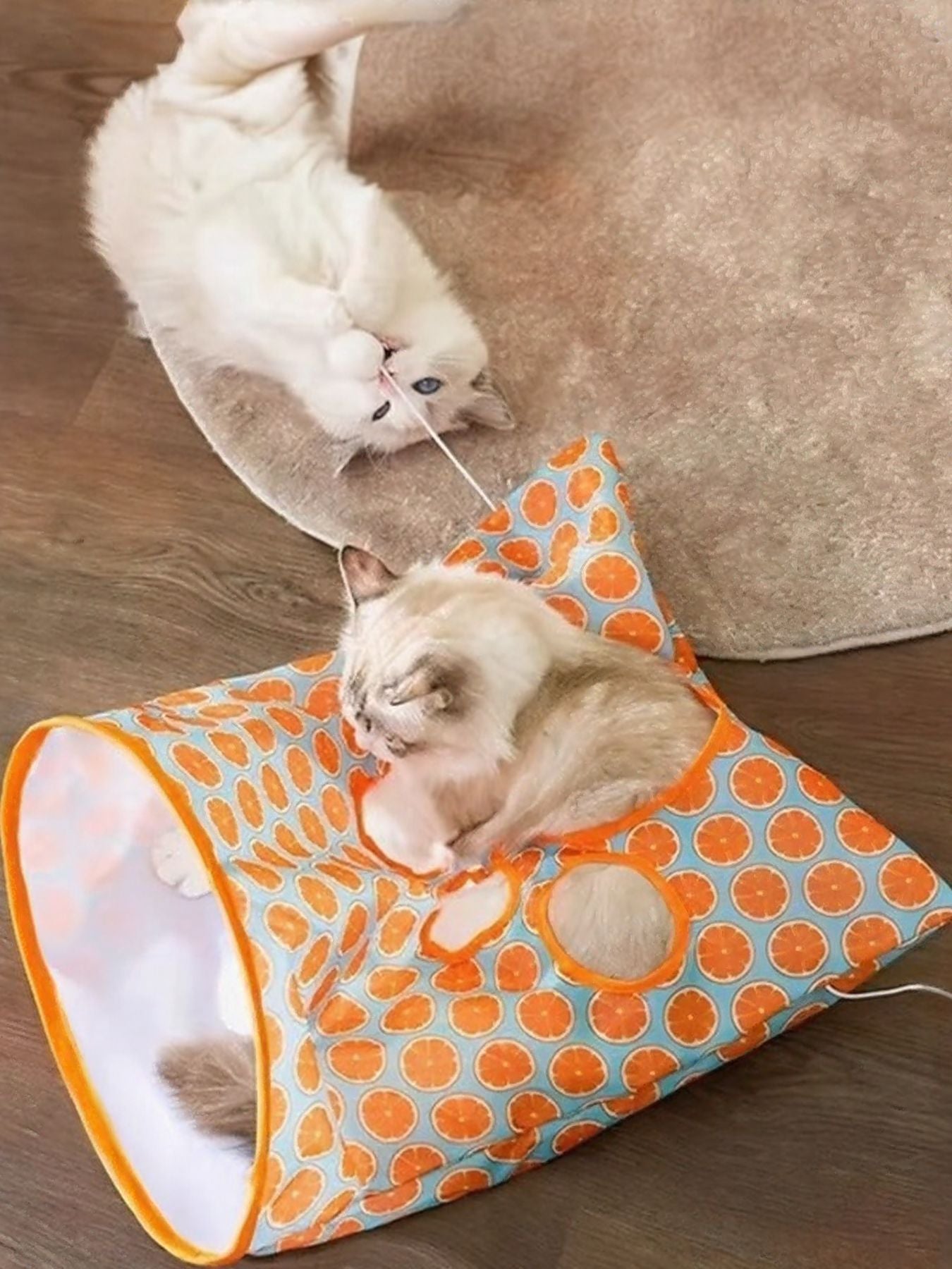 Collapsible Printed Cat Tunnel Toy