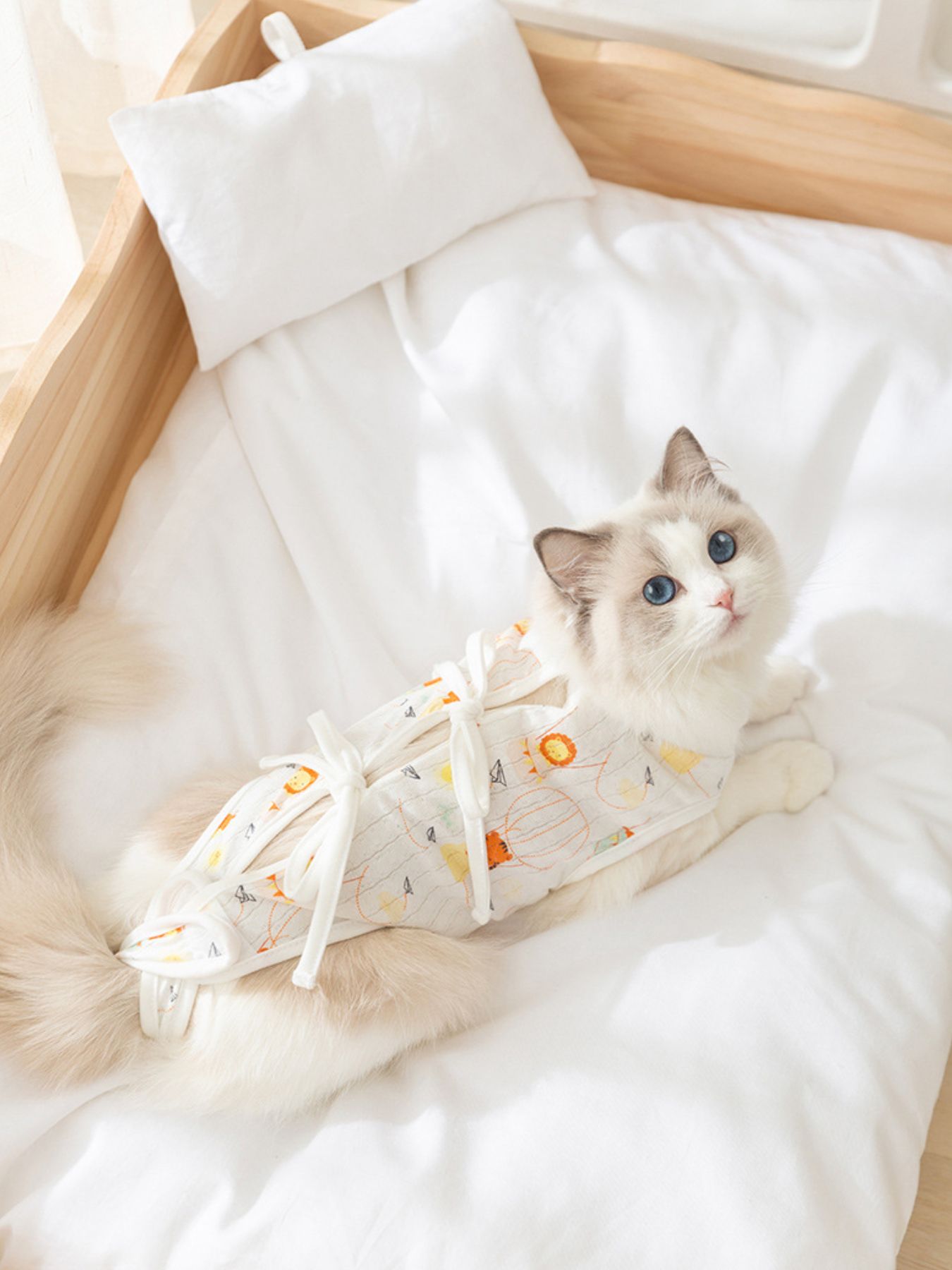 Adjustable Tie Pet Recovery Suit