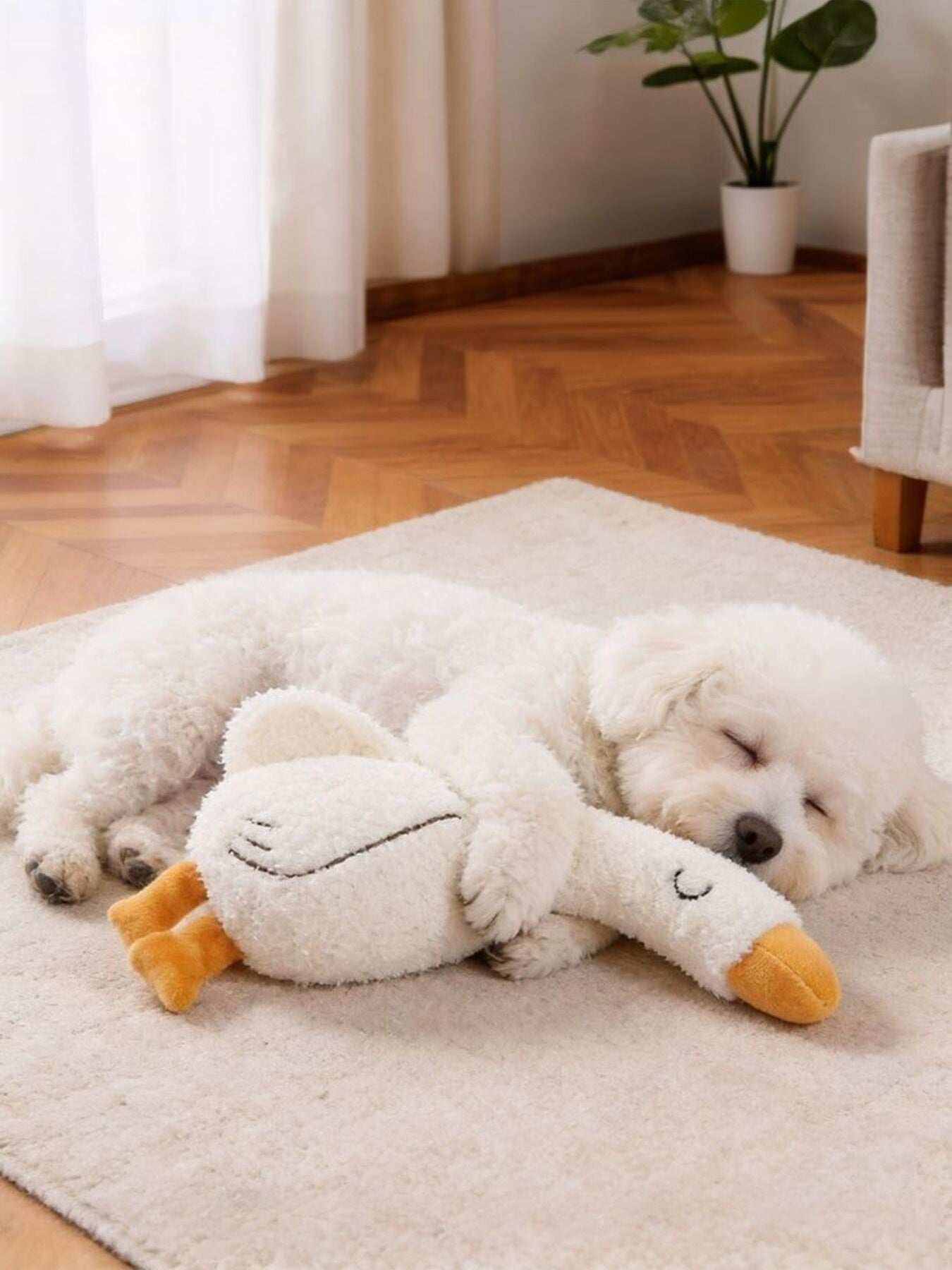 Duck & Fox Design Pet Plush Toys