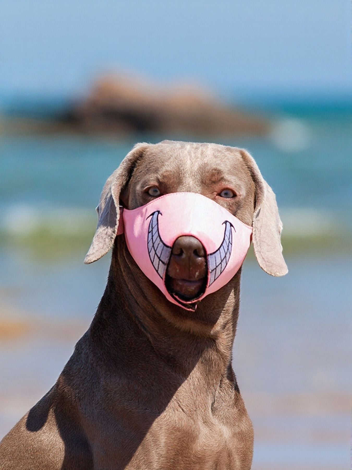 Funny Face Anti-Bite Pet Muzzle