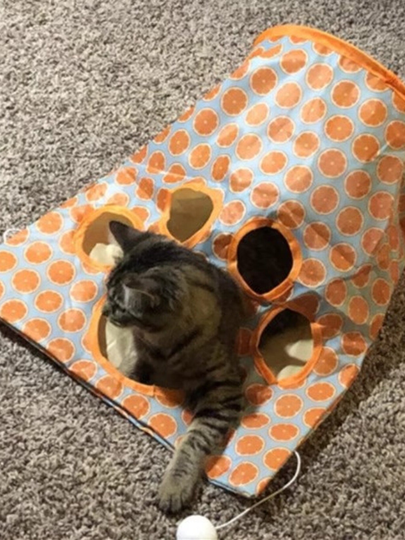 Collapsible Printed Cat Tunnel Toy