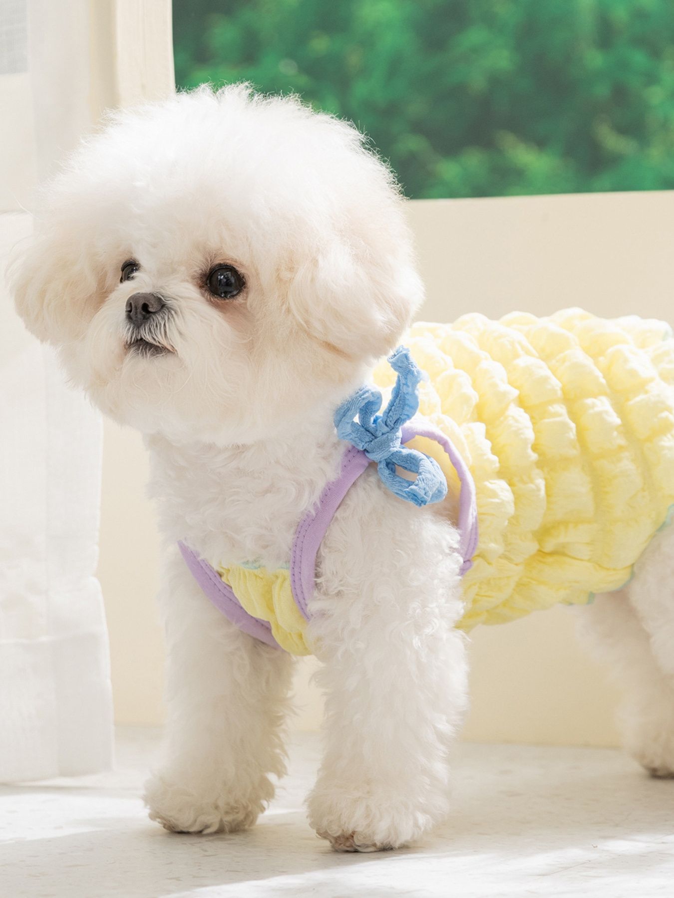 Bubble Textured Tie Shoulder Pet Top