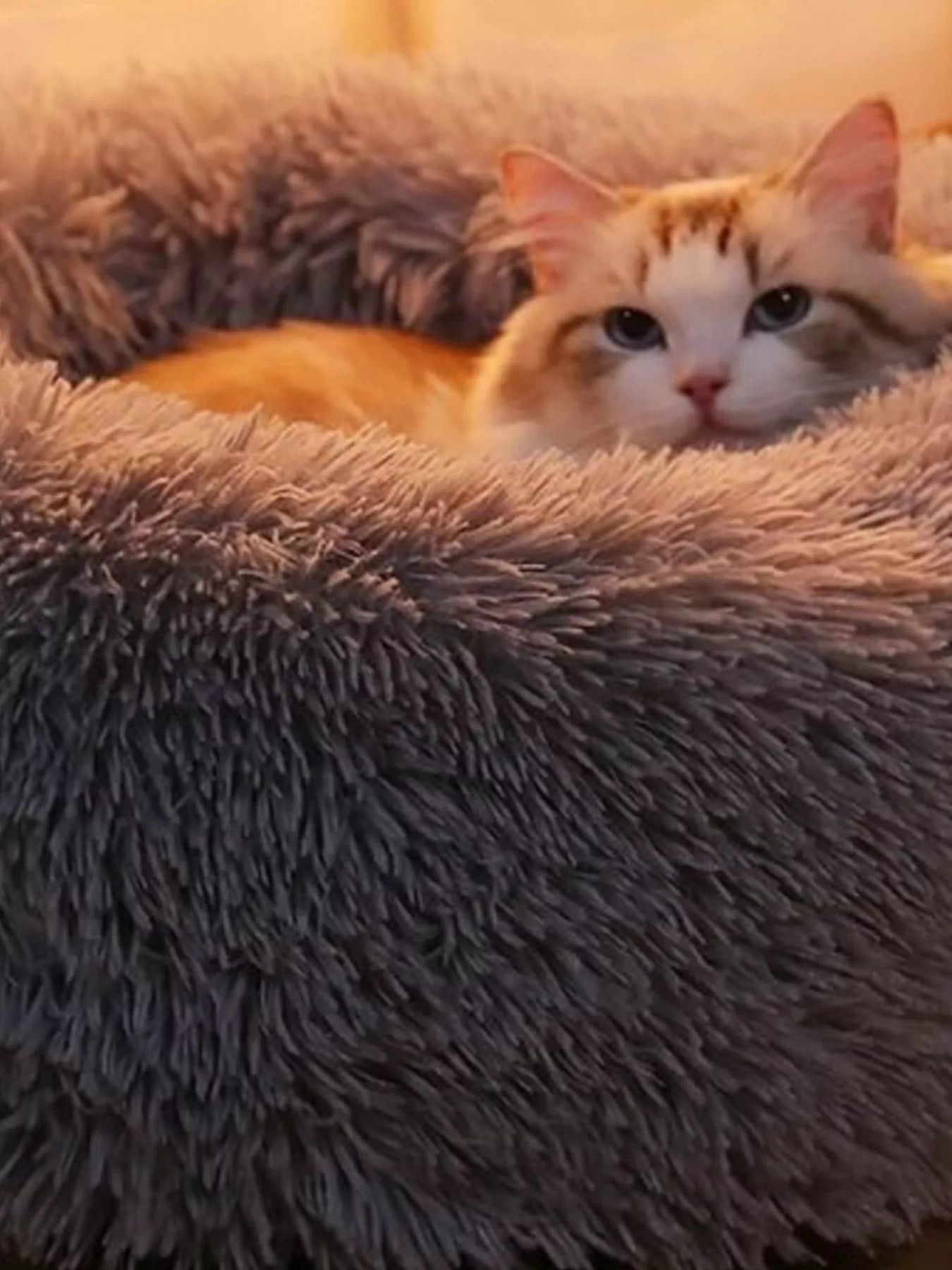 Fluffy Plush Donut Pet Nest
